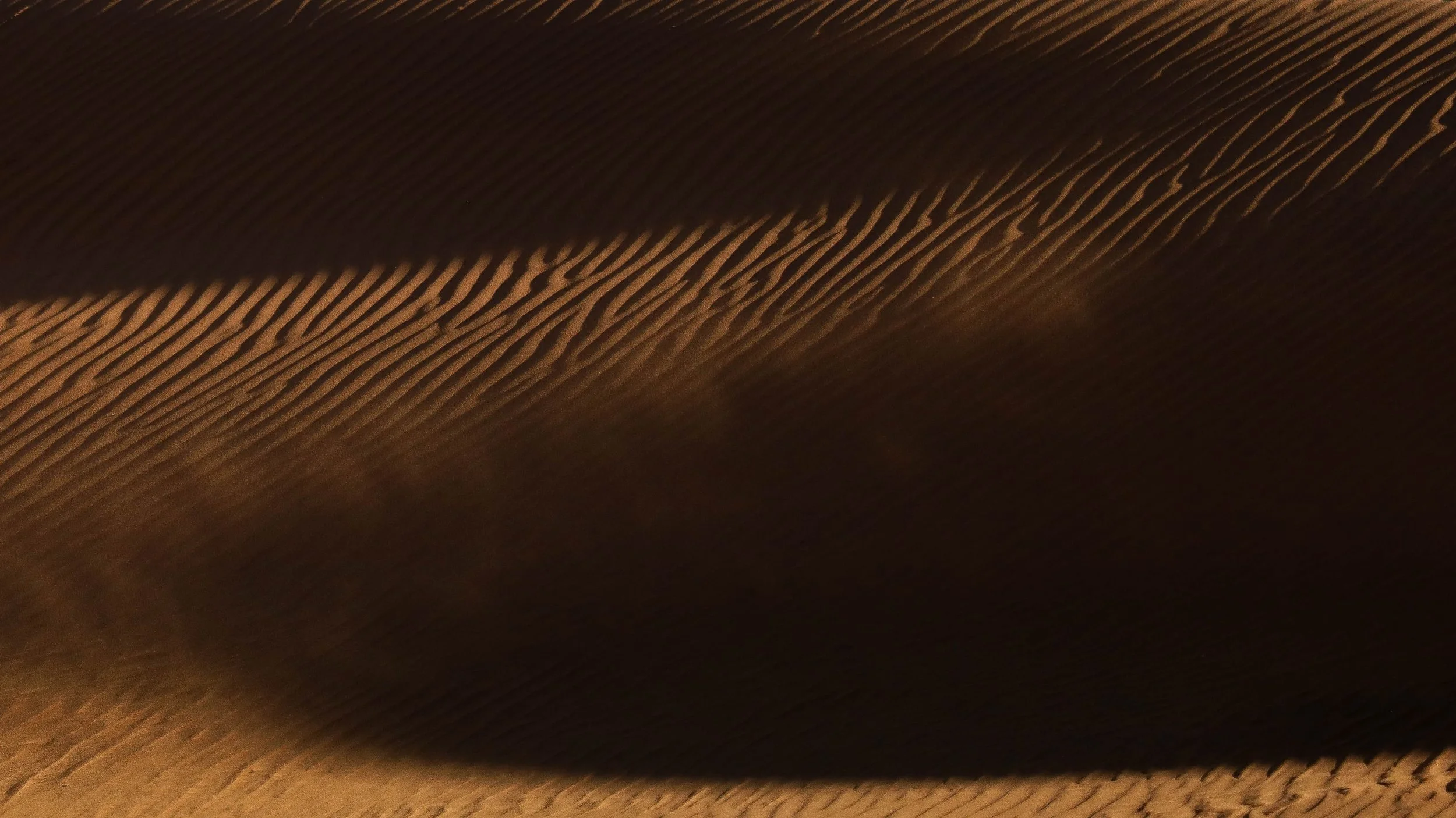 Déserts 9 | Namibie - Sandwich Harbour