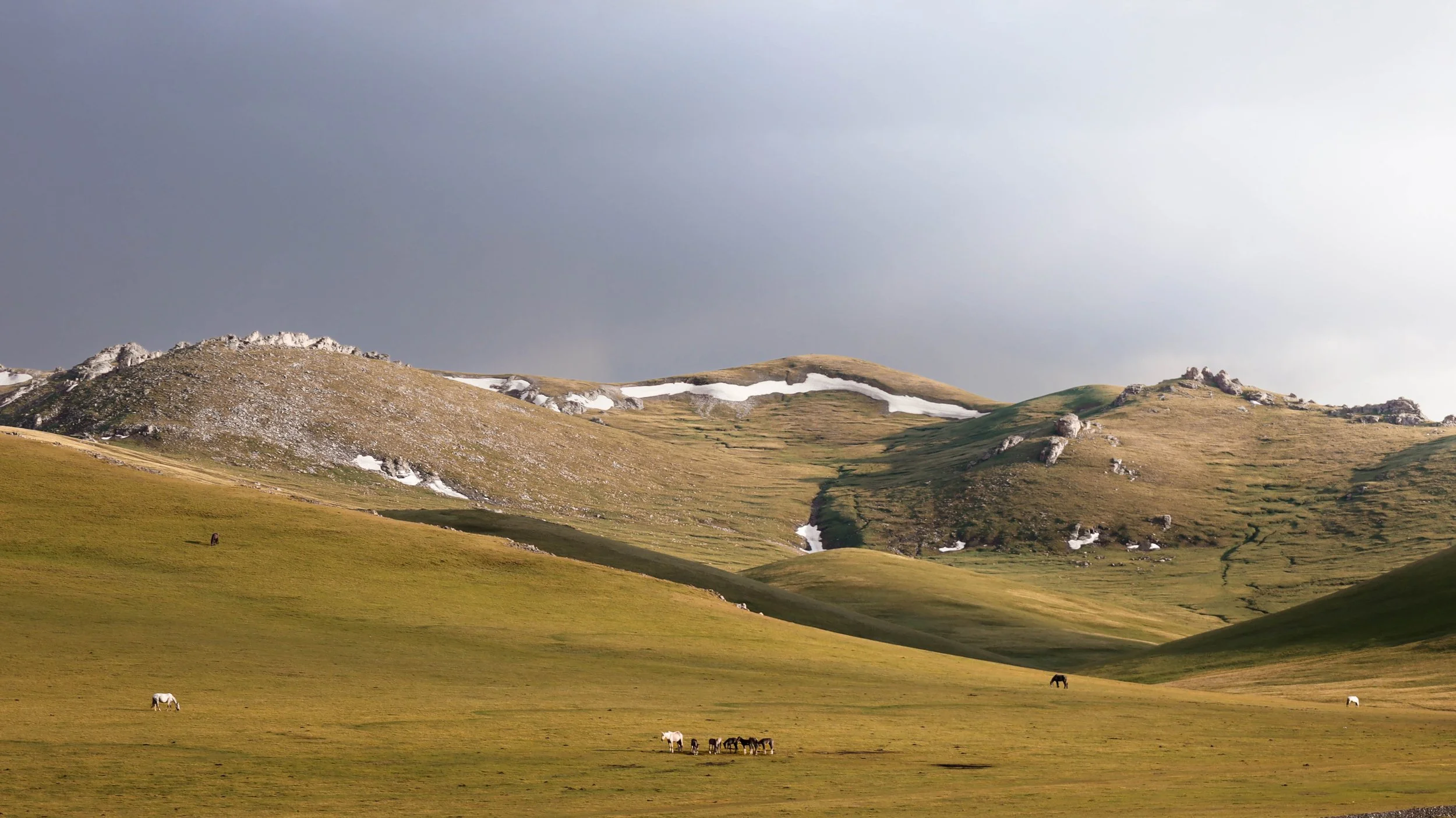 Steppes 2 | Kirghizistan - Lac Son Köl