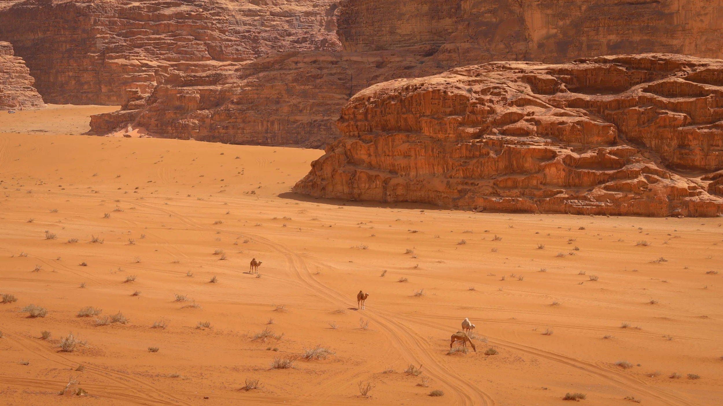 Déserts 2 | Jordanie - Wadi-Rum