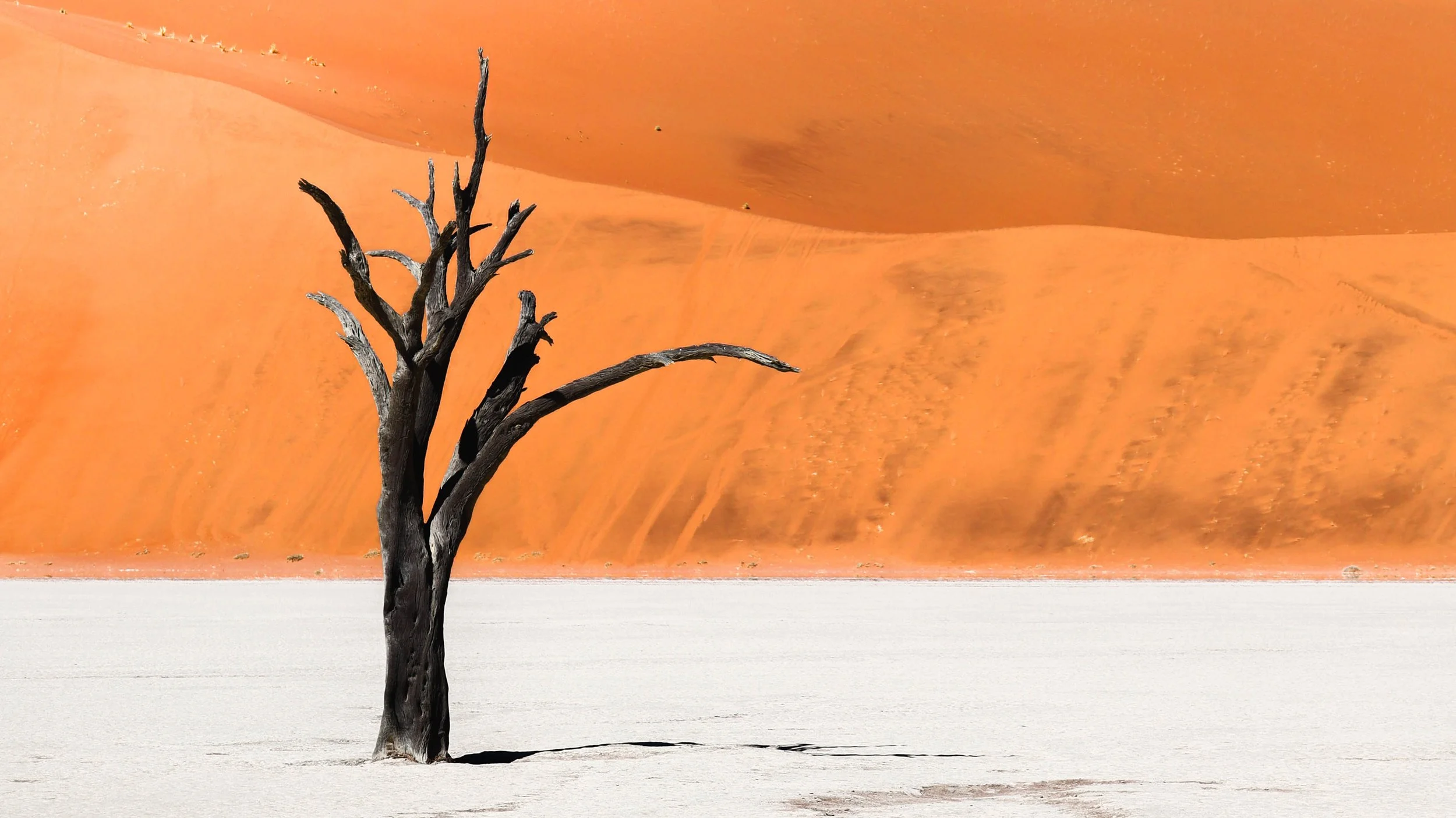 Déserts 10 | Namibie - Deadvlei