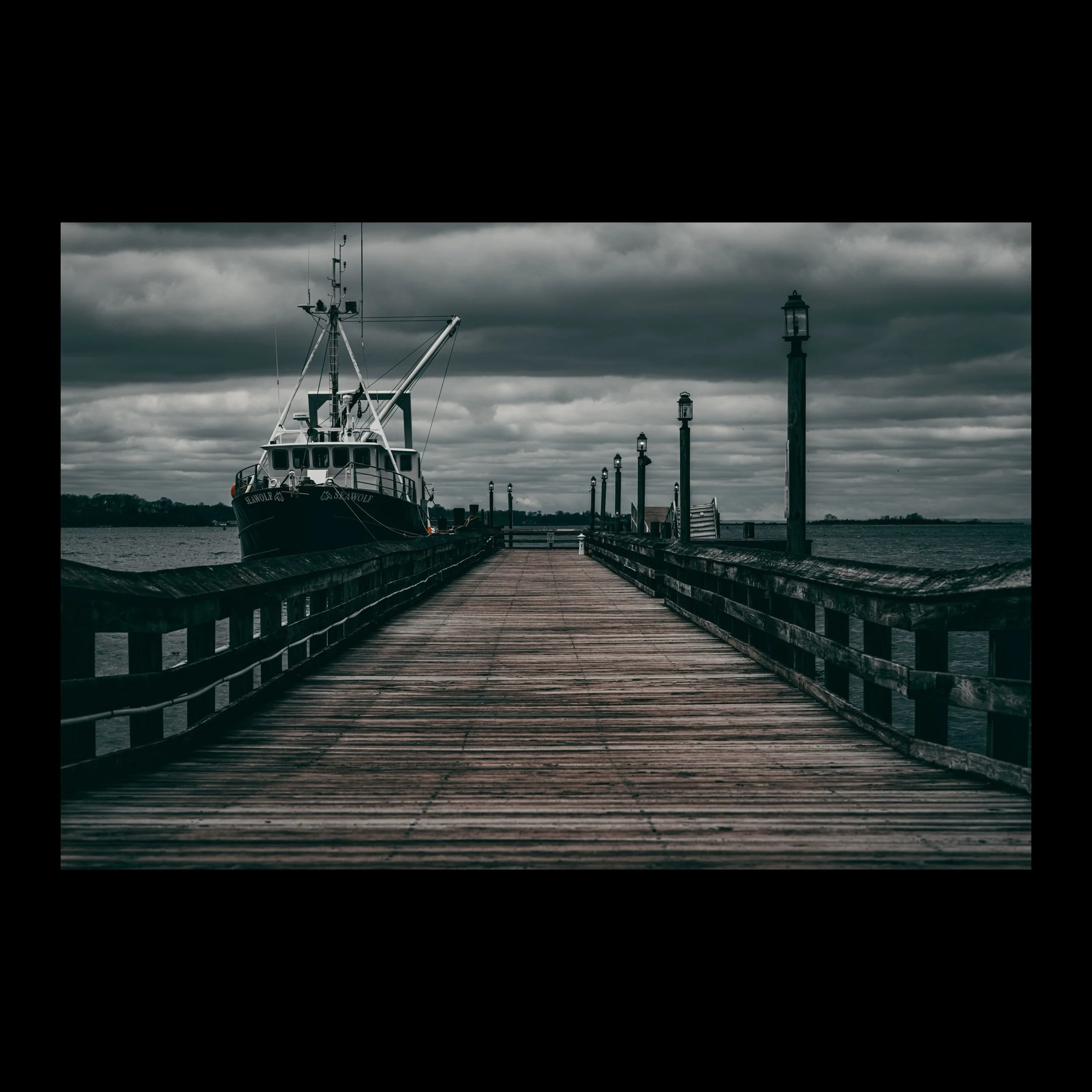 PJ_Harbor-3.jpg