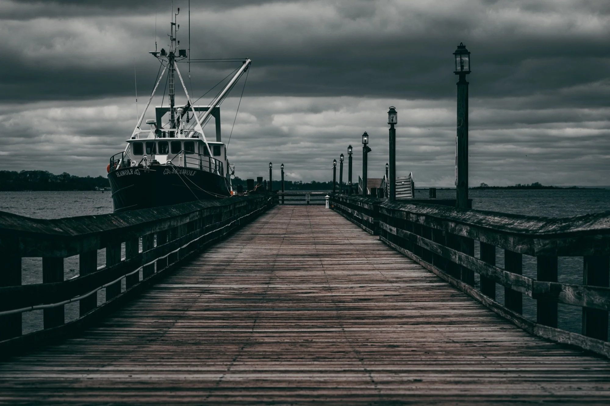 PJ_Harbor-3.jpg