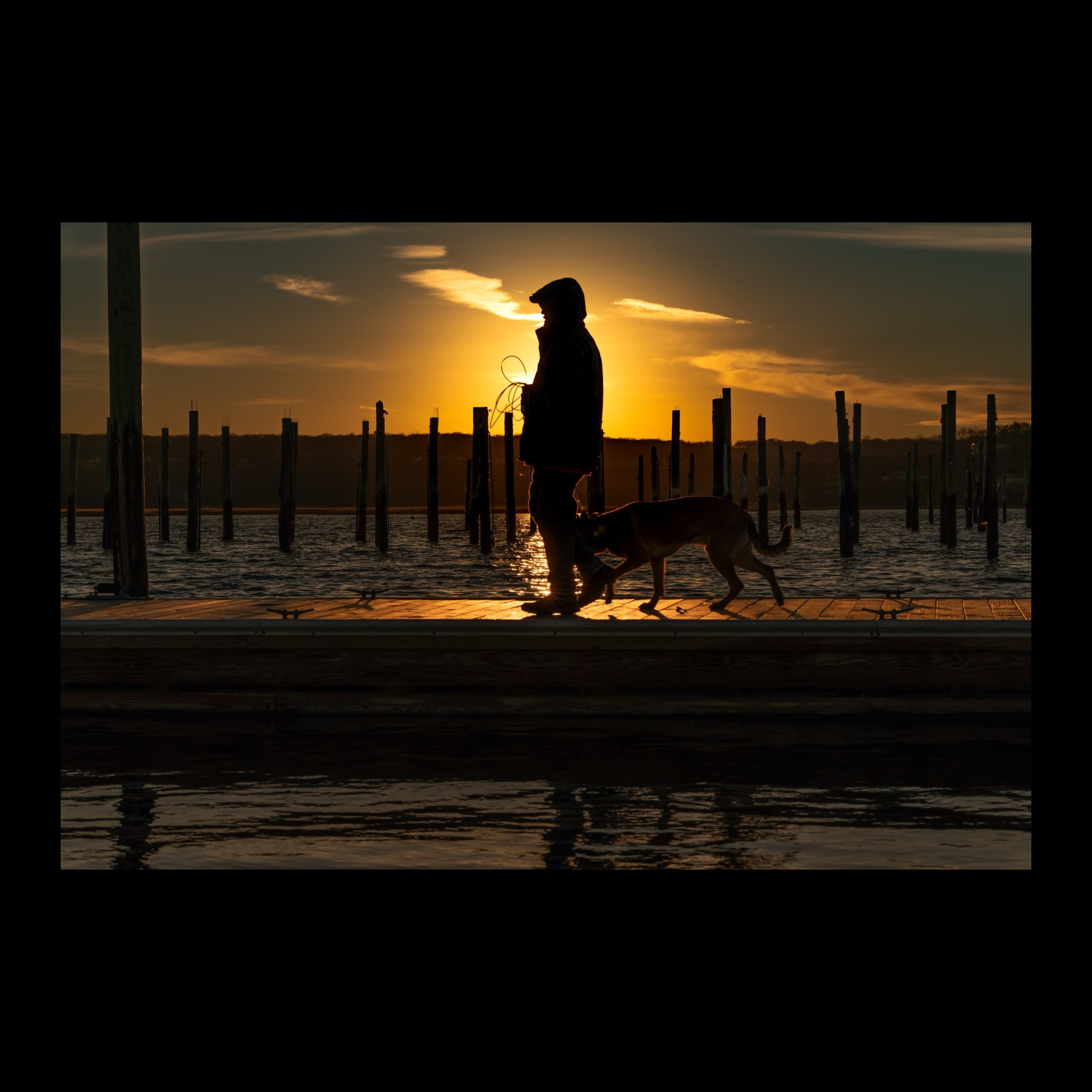 Golden Hour Walk