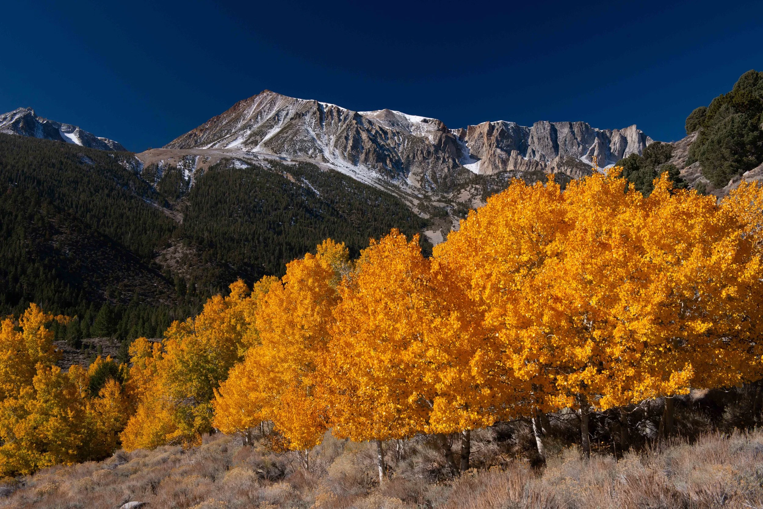 Lake Tahoe Eastern Sierras - 02.jpg