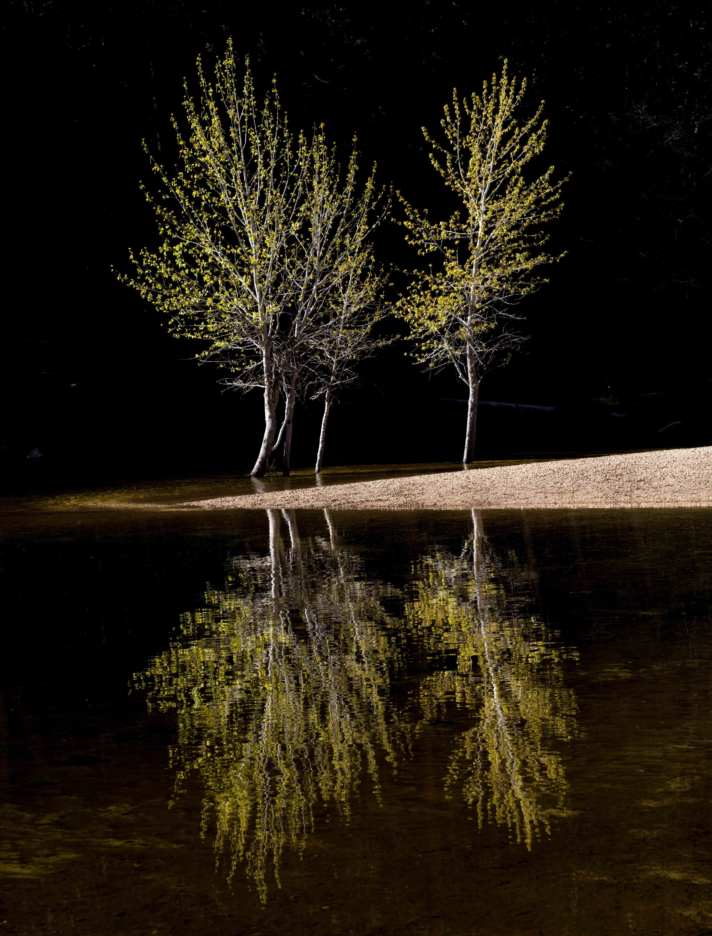 Yosemite - 08.jpg