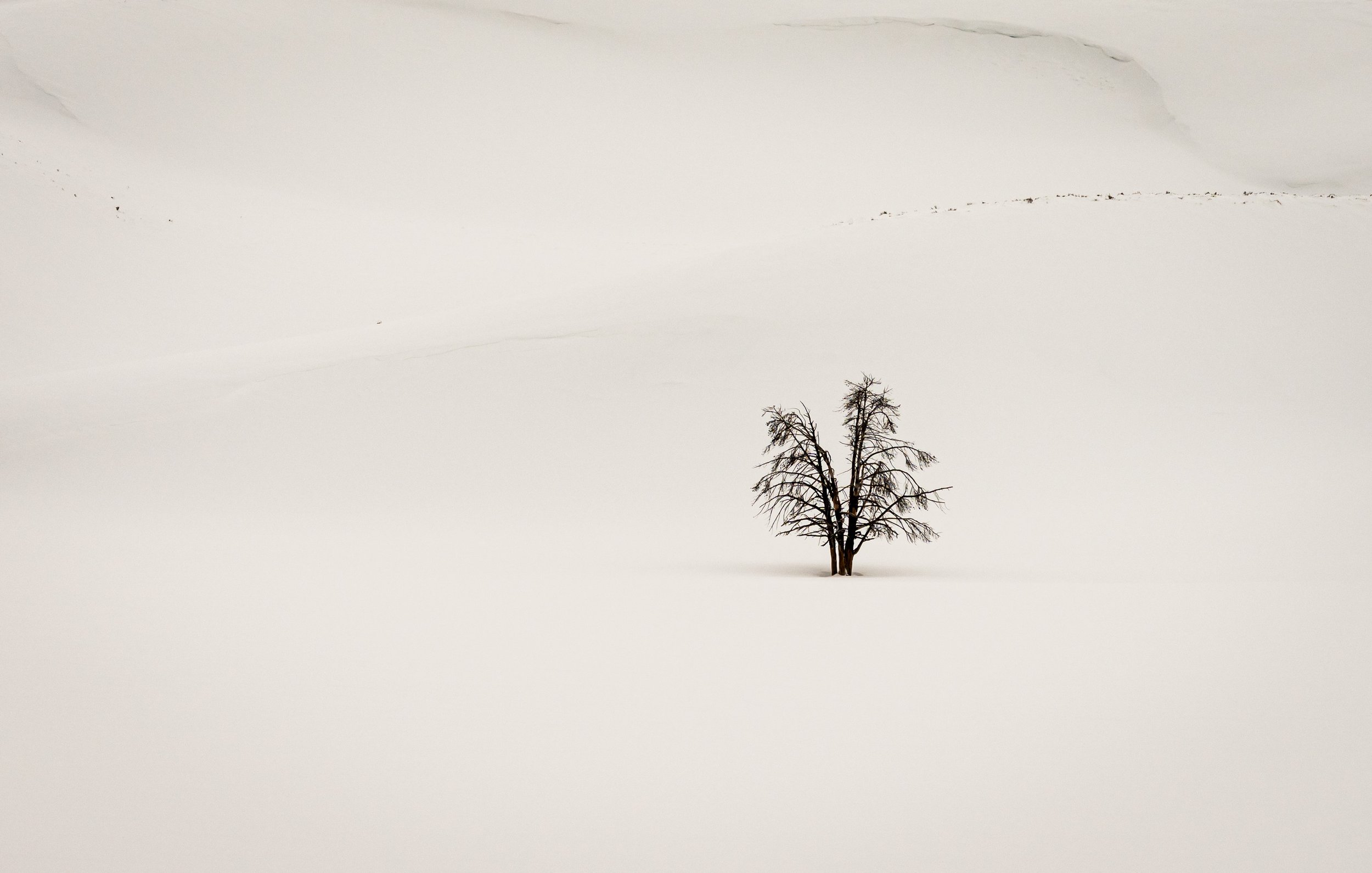 Yellowstone - 02.jpg