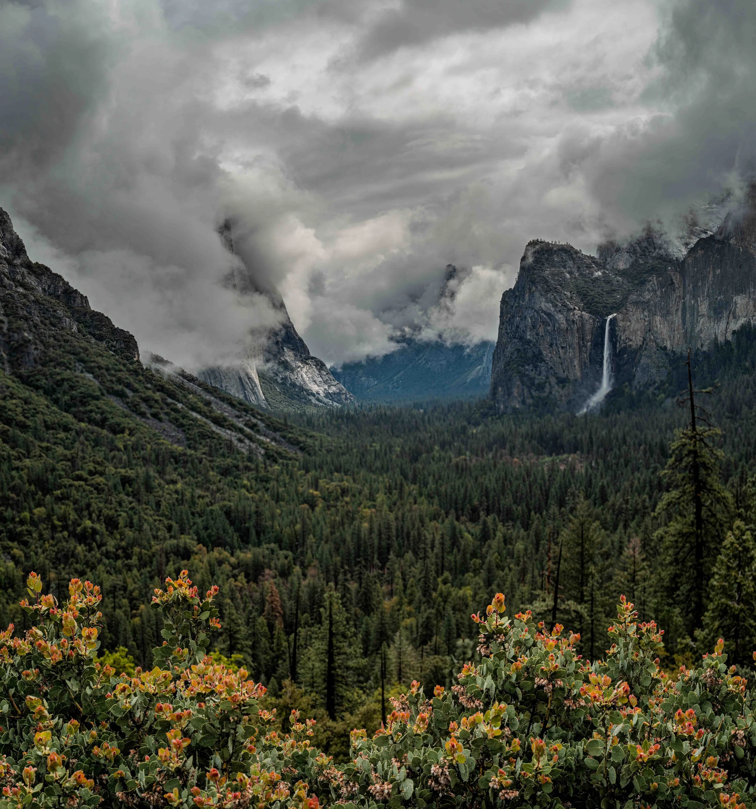 Yosemite - 16.jpg