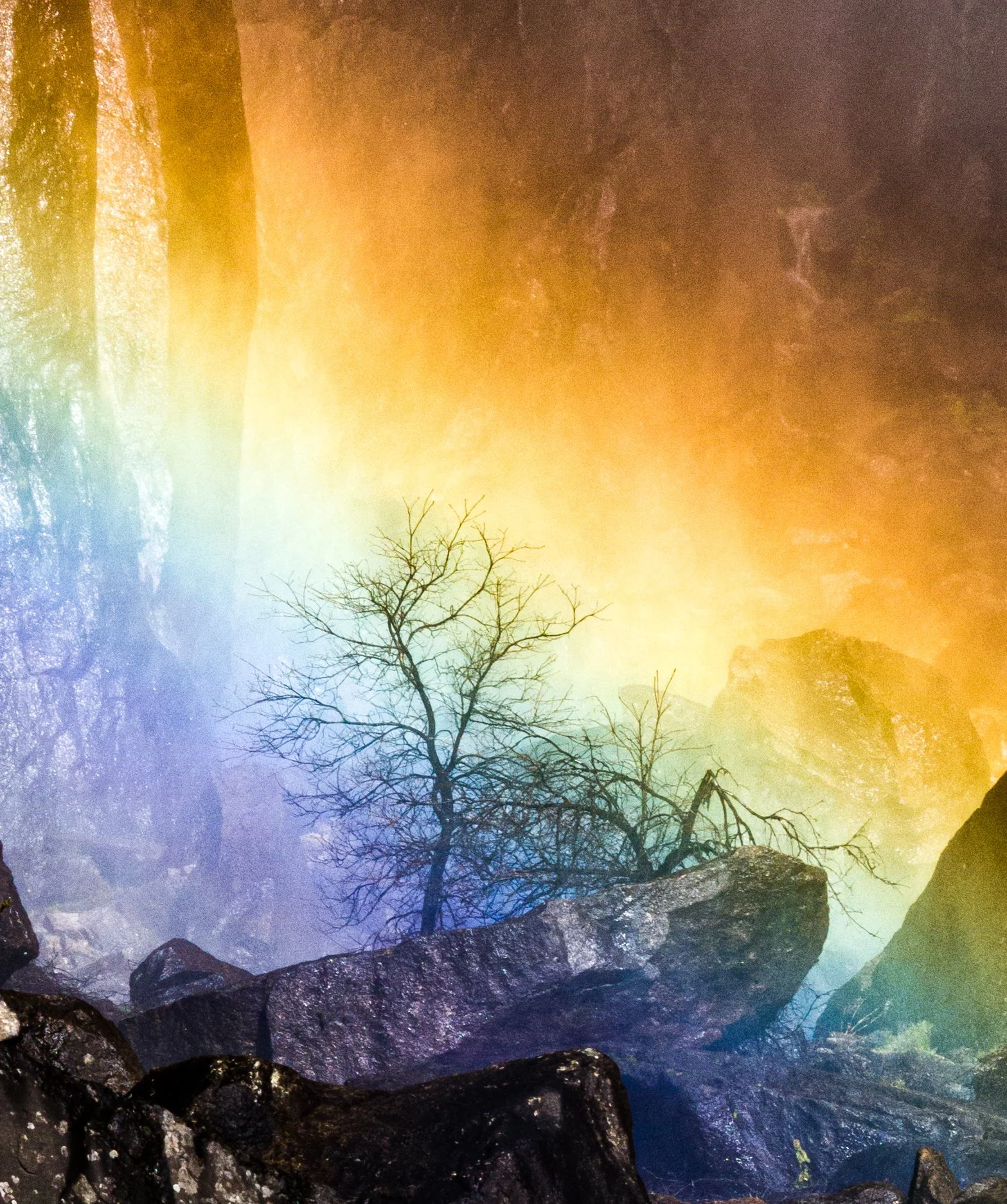 Yosemite - 12.jpg