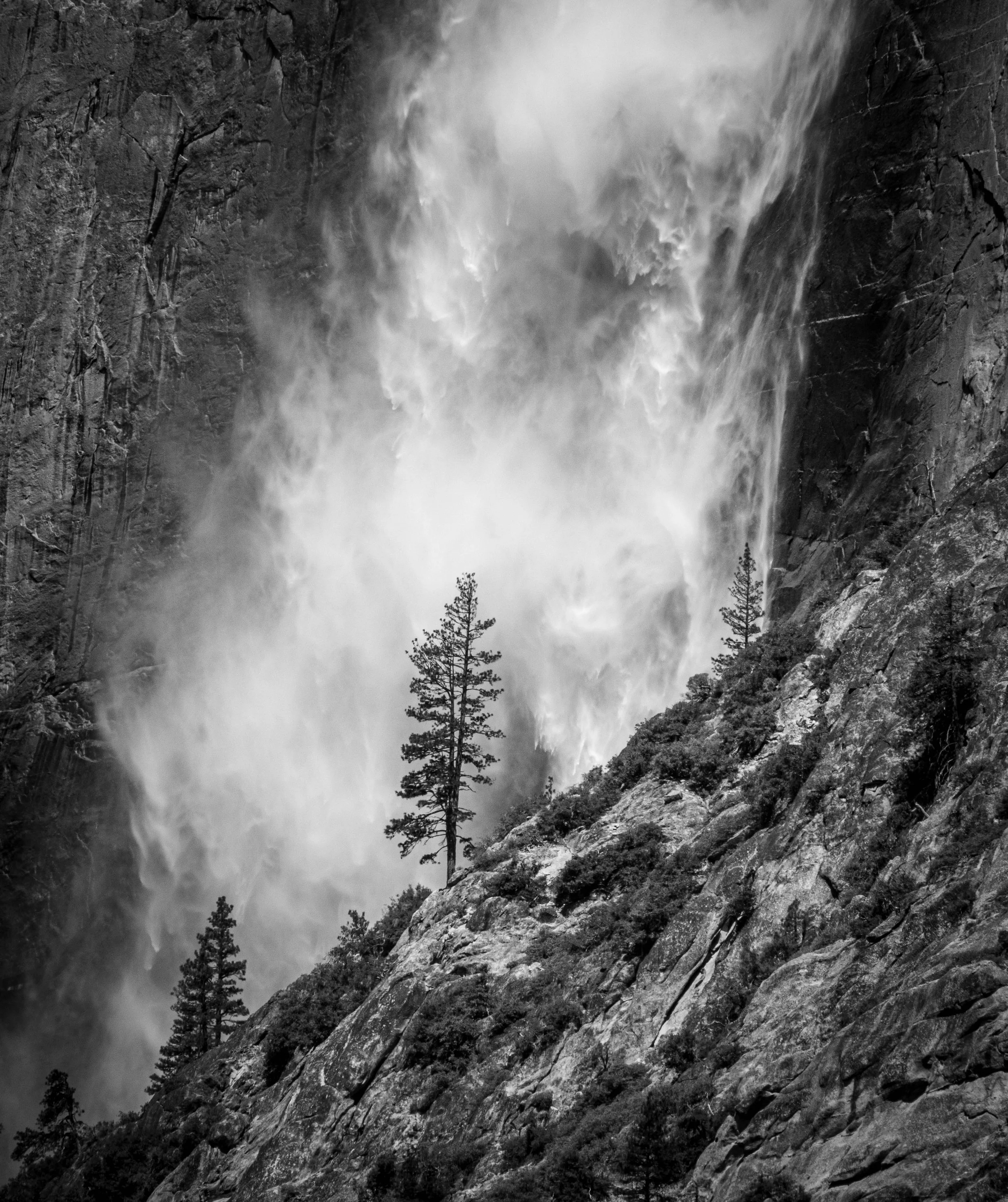Yosemite - 04.jpg