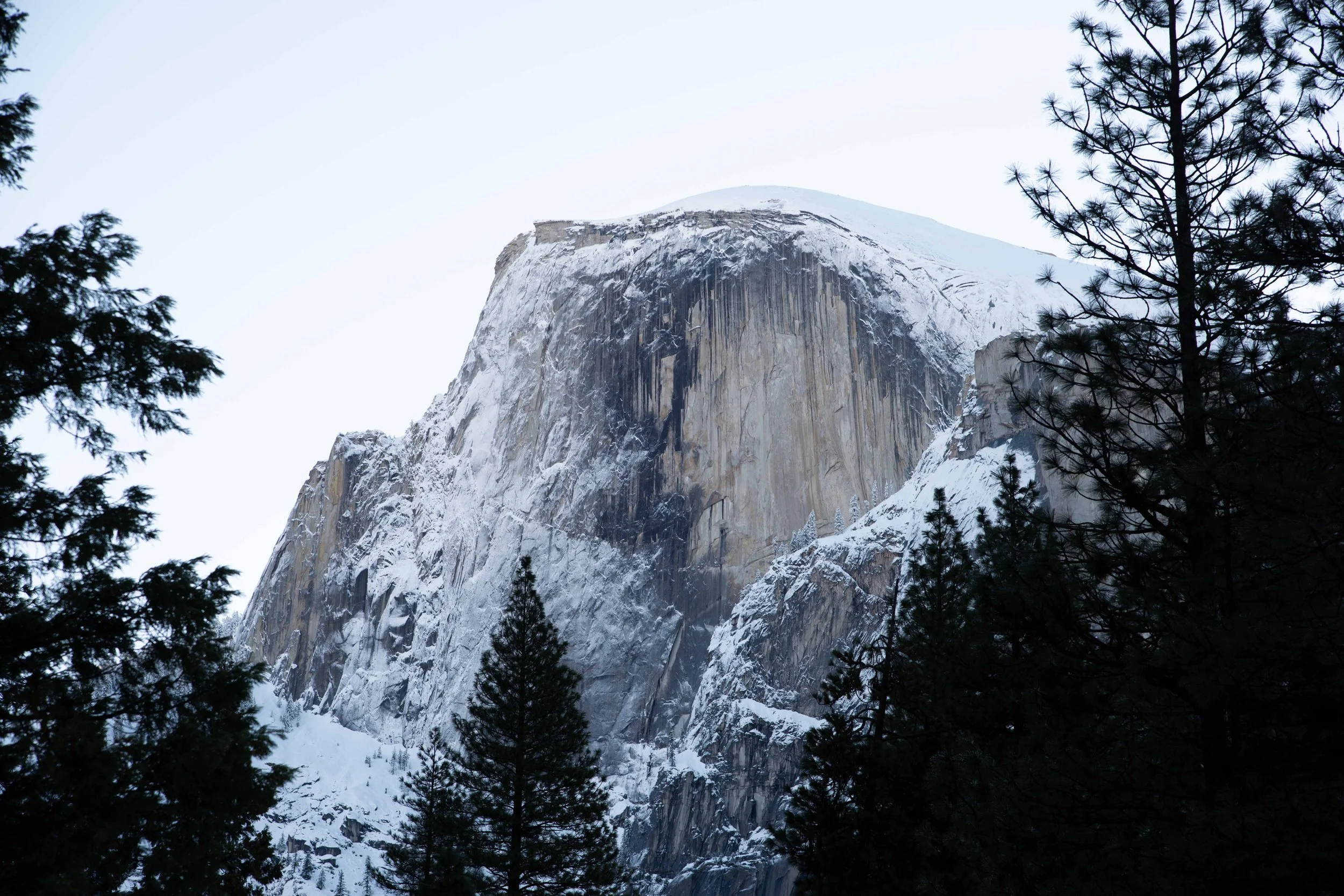 Yosemite - 05.jpg