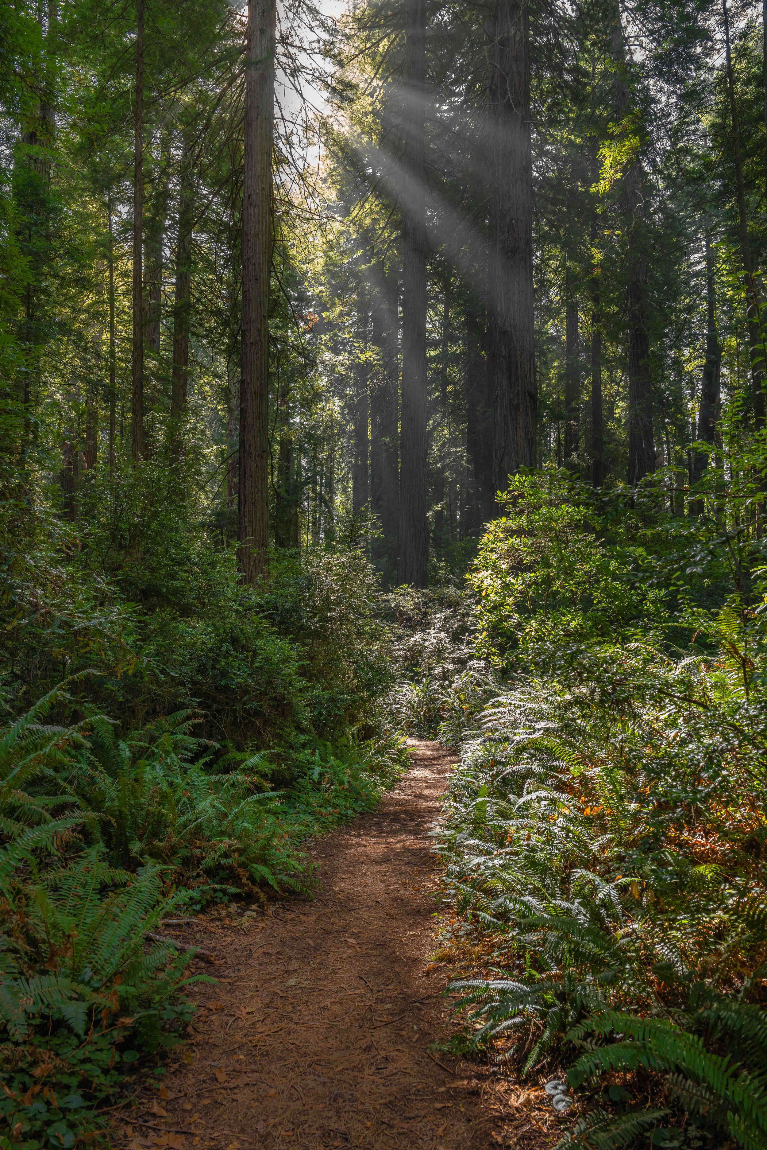Pacific Coast - 10.jpg