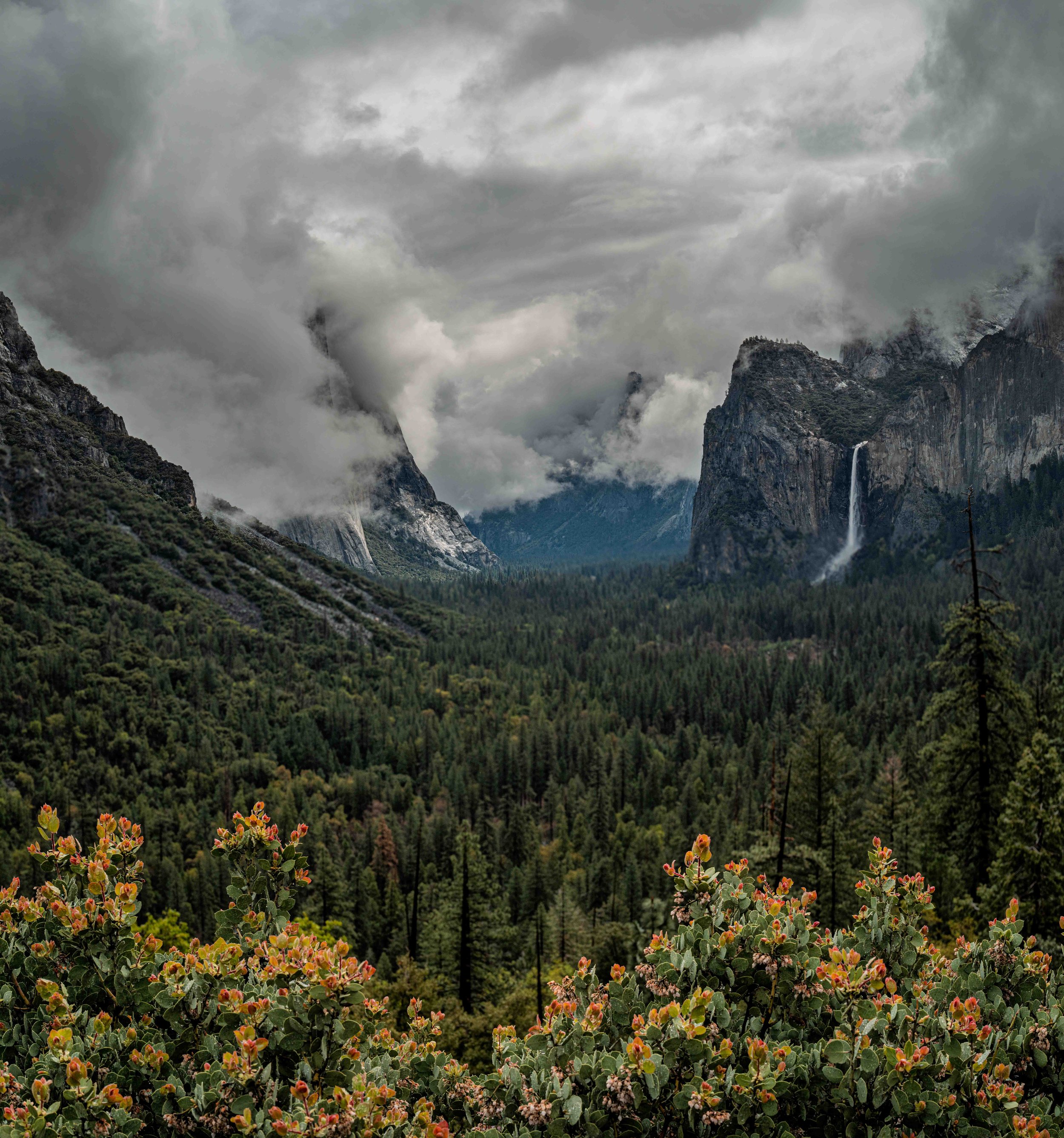 Yosemite