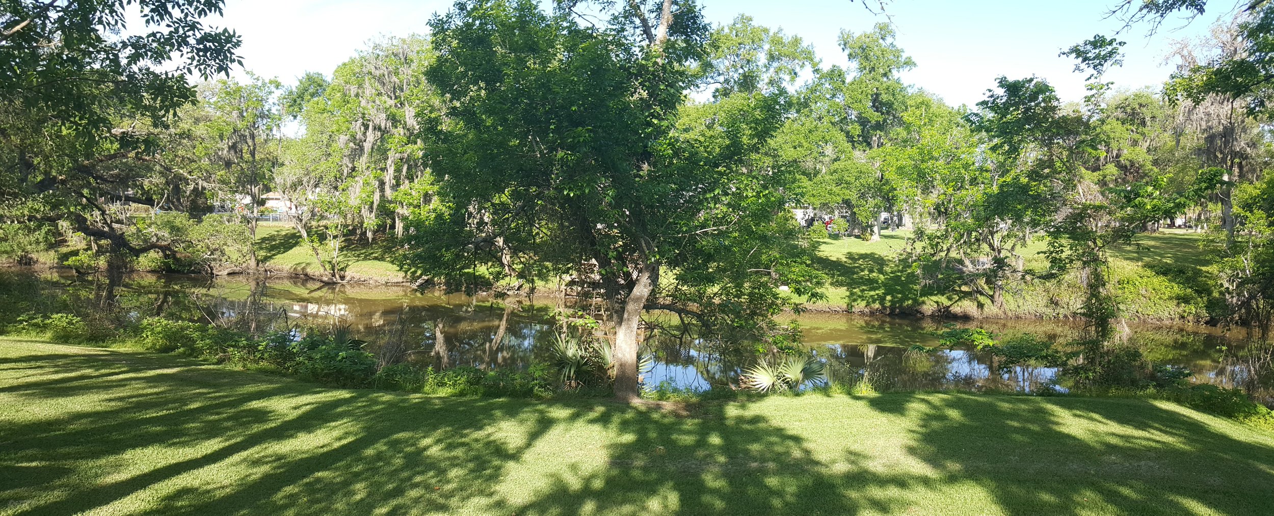 Sunlit trees and a green lawn reflected in a bayou.