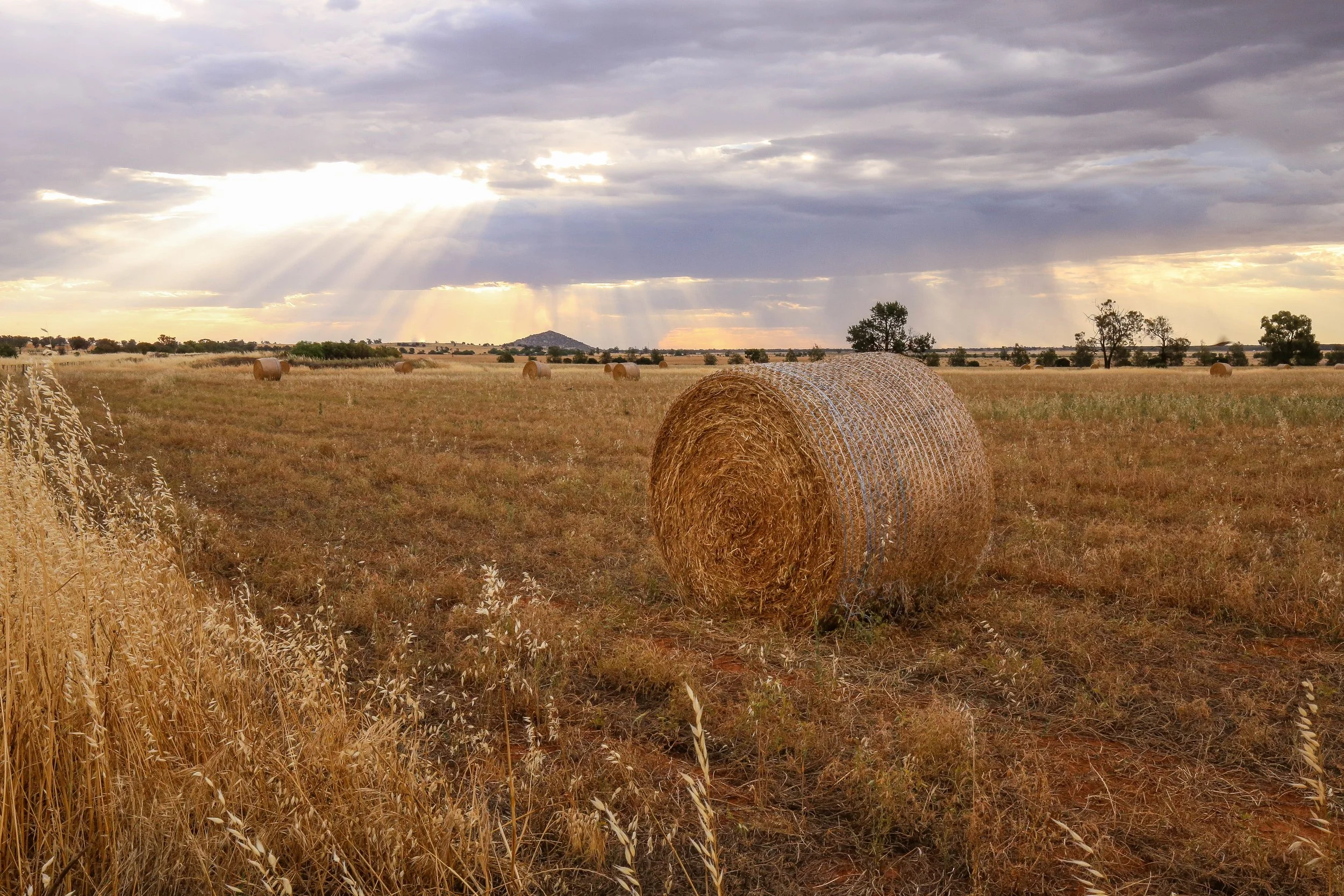 Jacupke Law proudly serves Rock Rapids, Iowa and Northwest Iowa. Helping farmers, small business owners, and families achieve their business, estate planning goals.