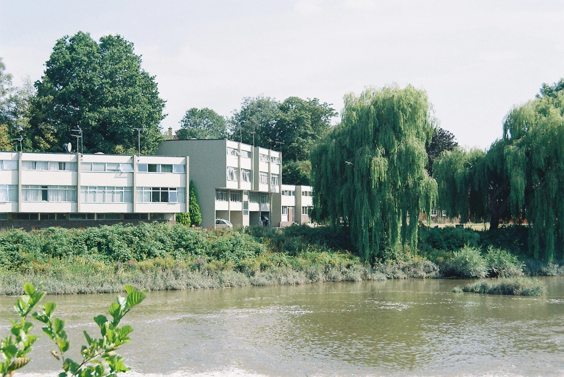 CNV00005.JPG