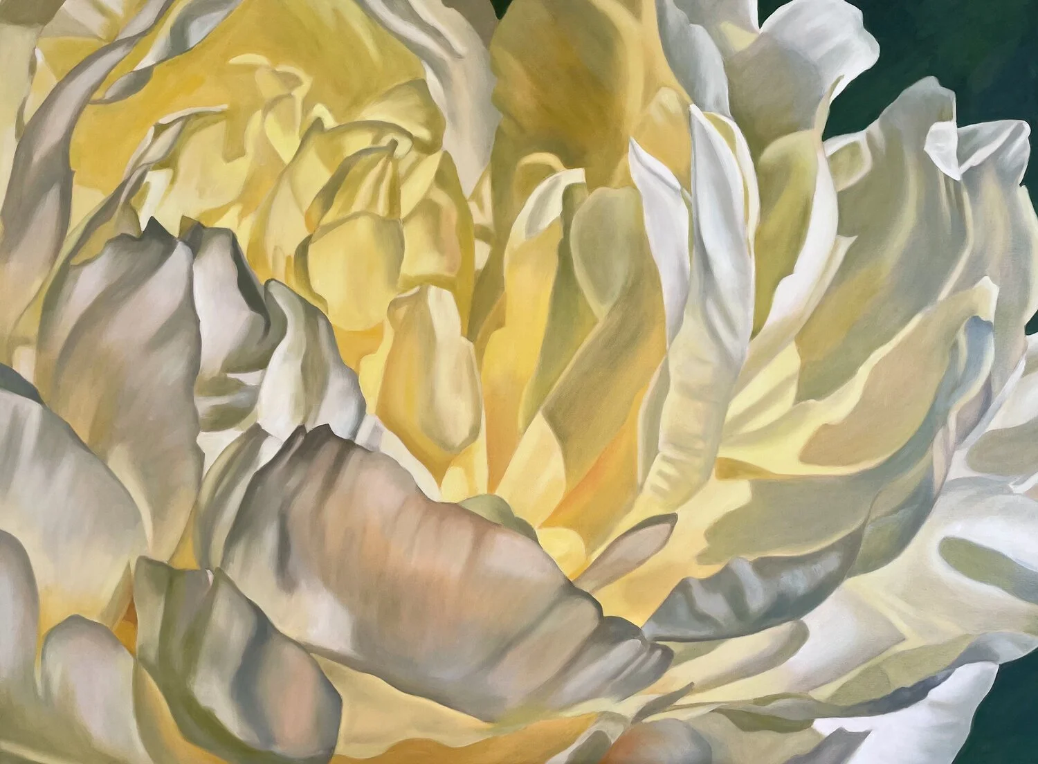 Janci, Mannington - Golden Peony, 2026