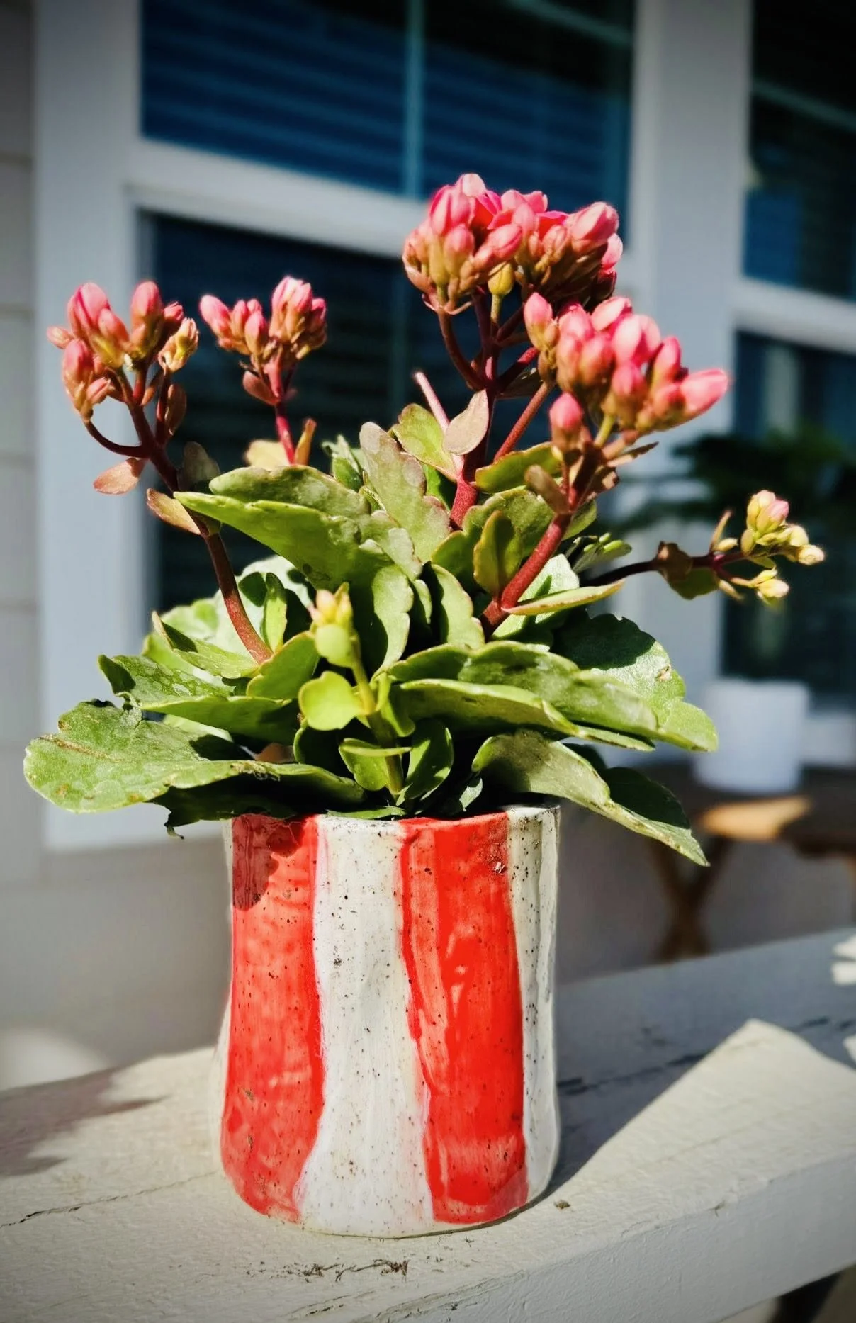 Ceramic Planter
