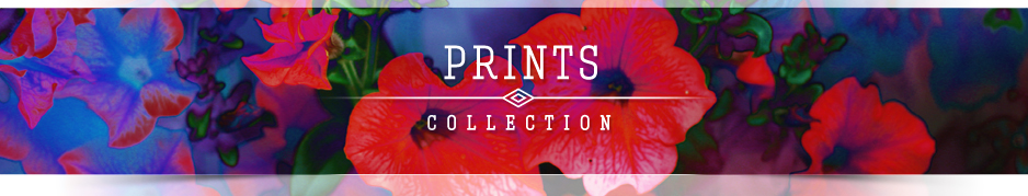 Case-Mate.com: Bright, Floral Prints are Perfect for Spring