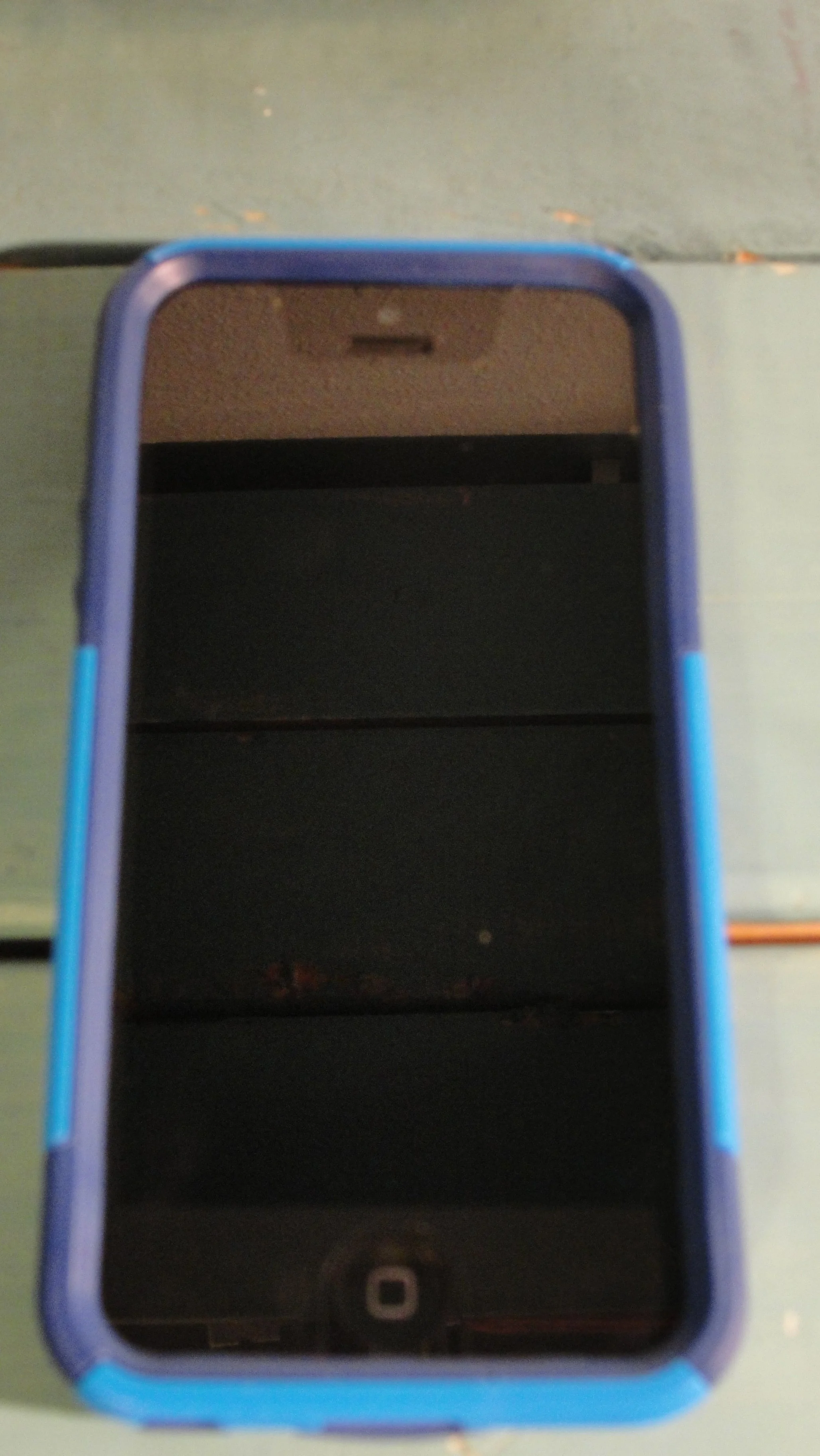 DSC02270.jpg