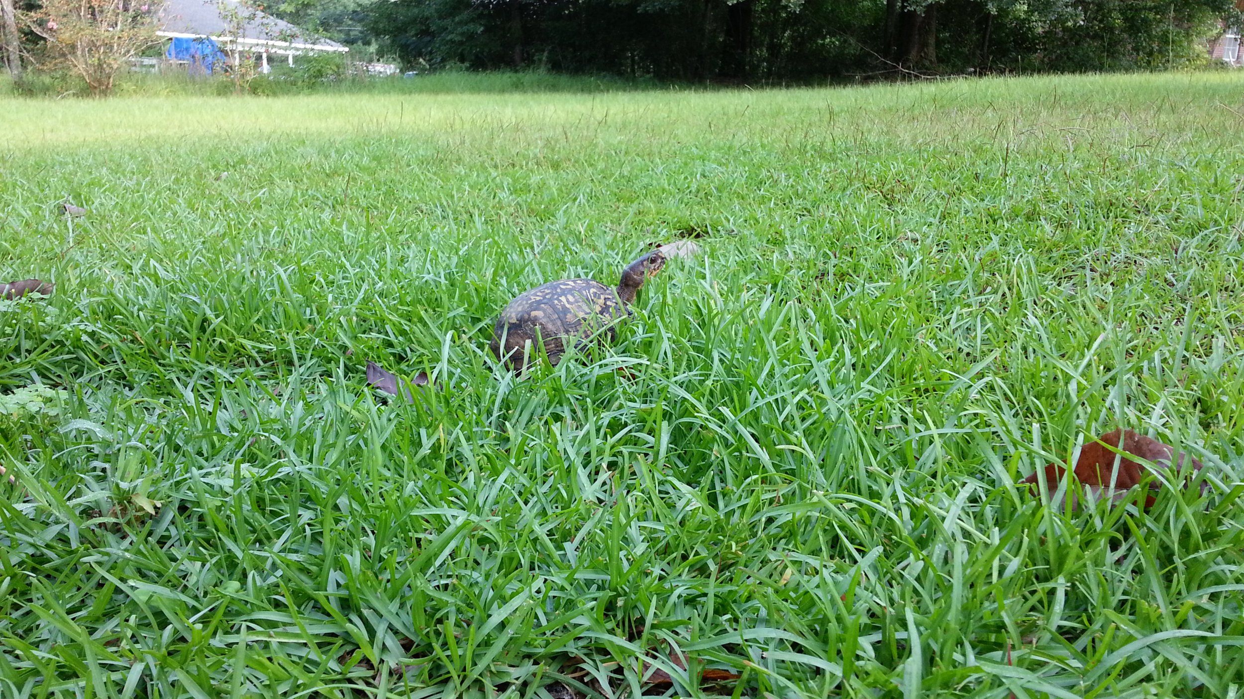 20120818_091509.jpg