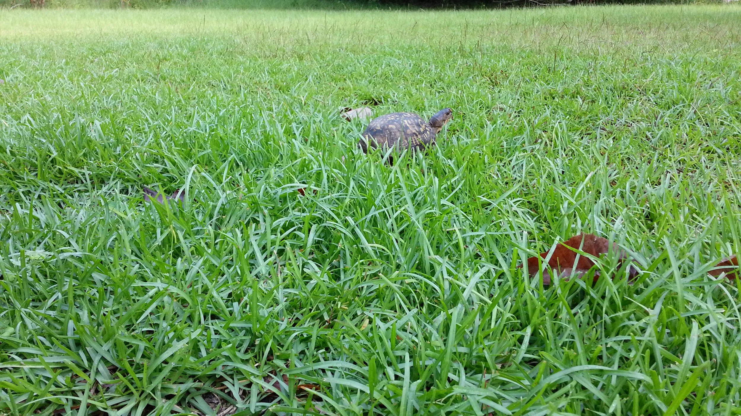 20120818_091514.jpg