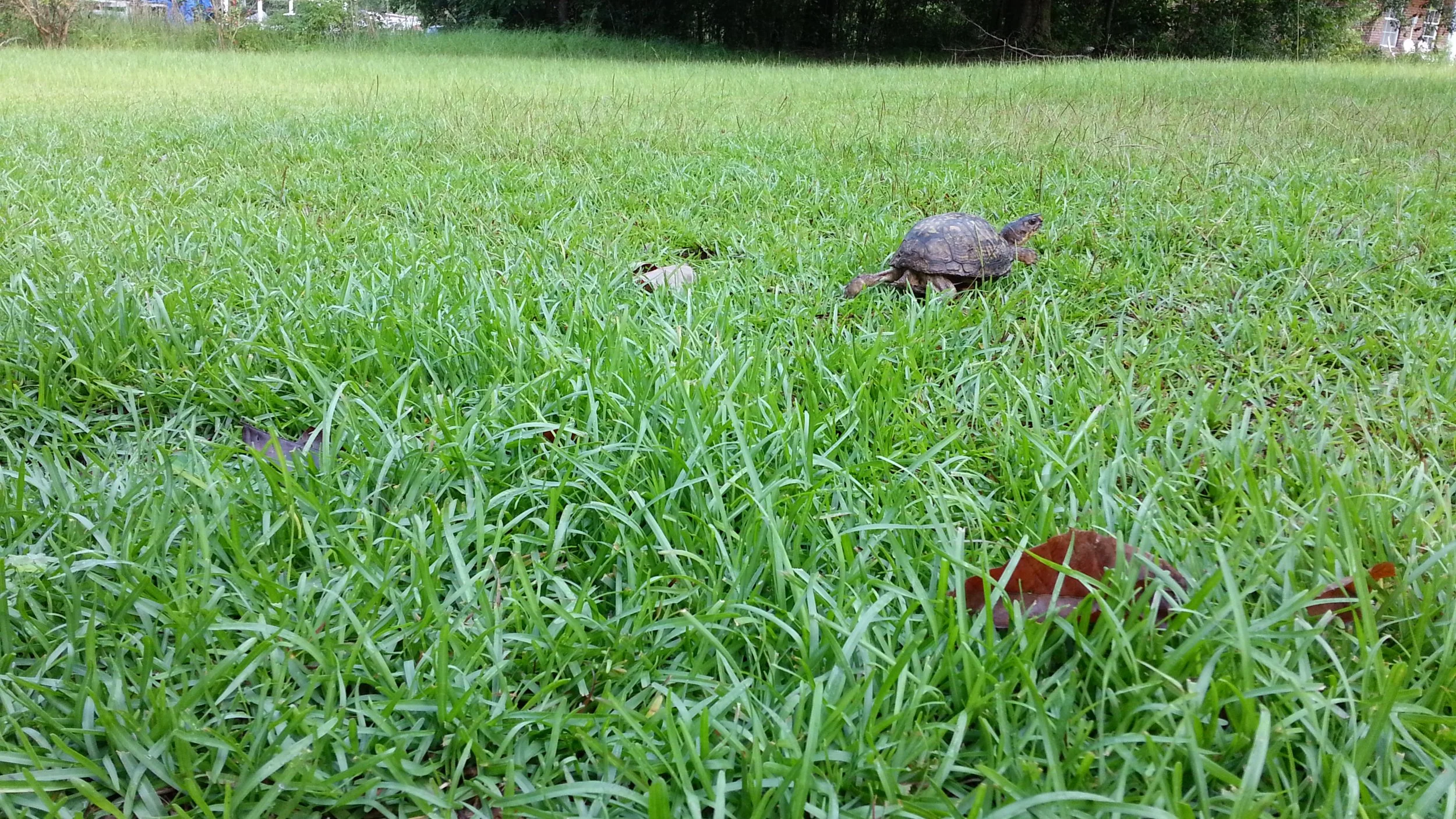 20120818_091518.jpg