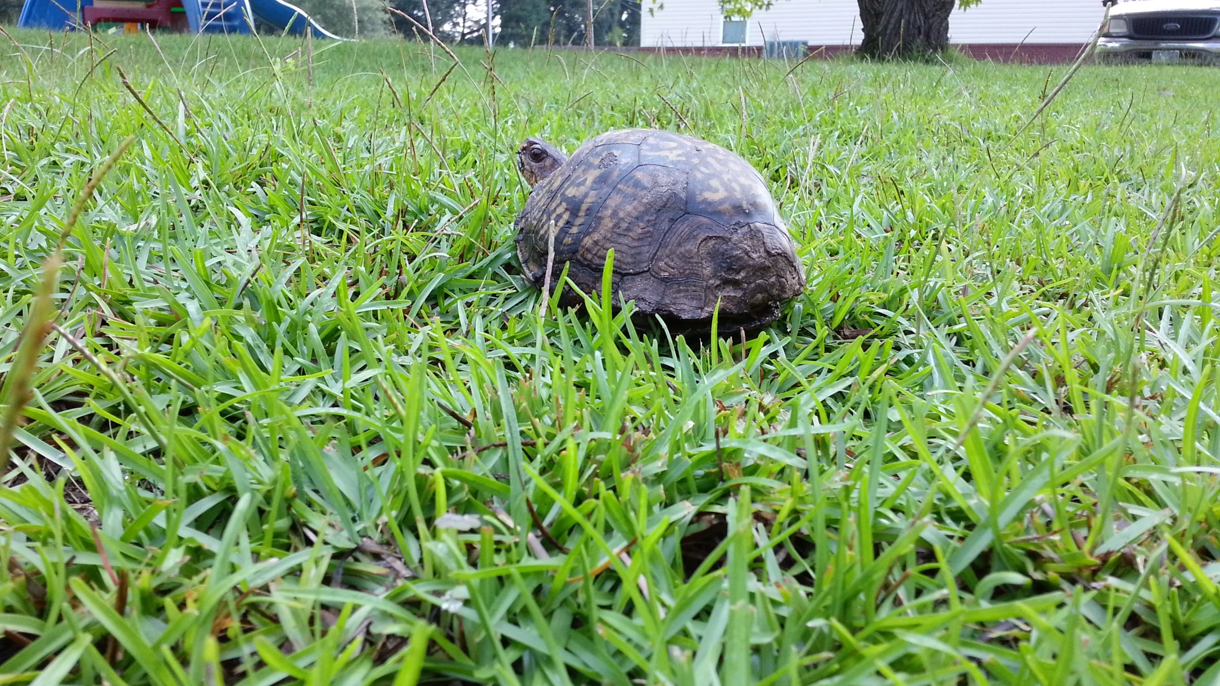 20120818_091551.jpg