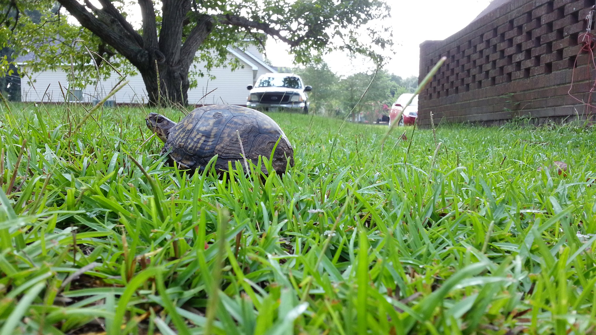 20120818_091603.jpg