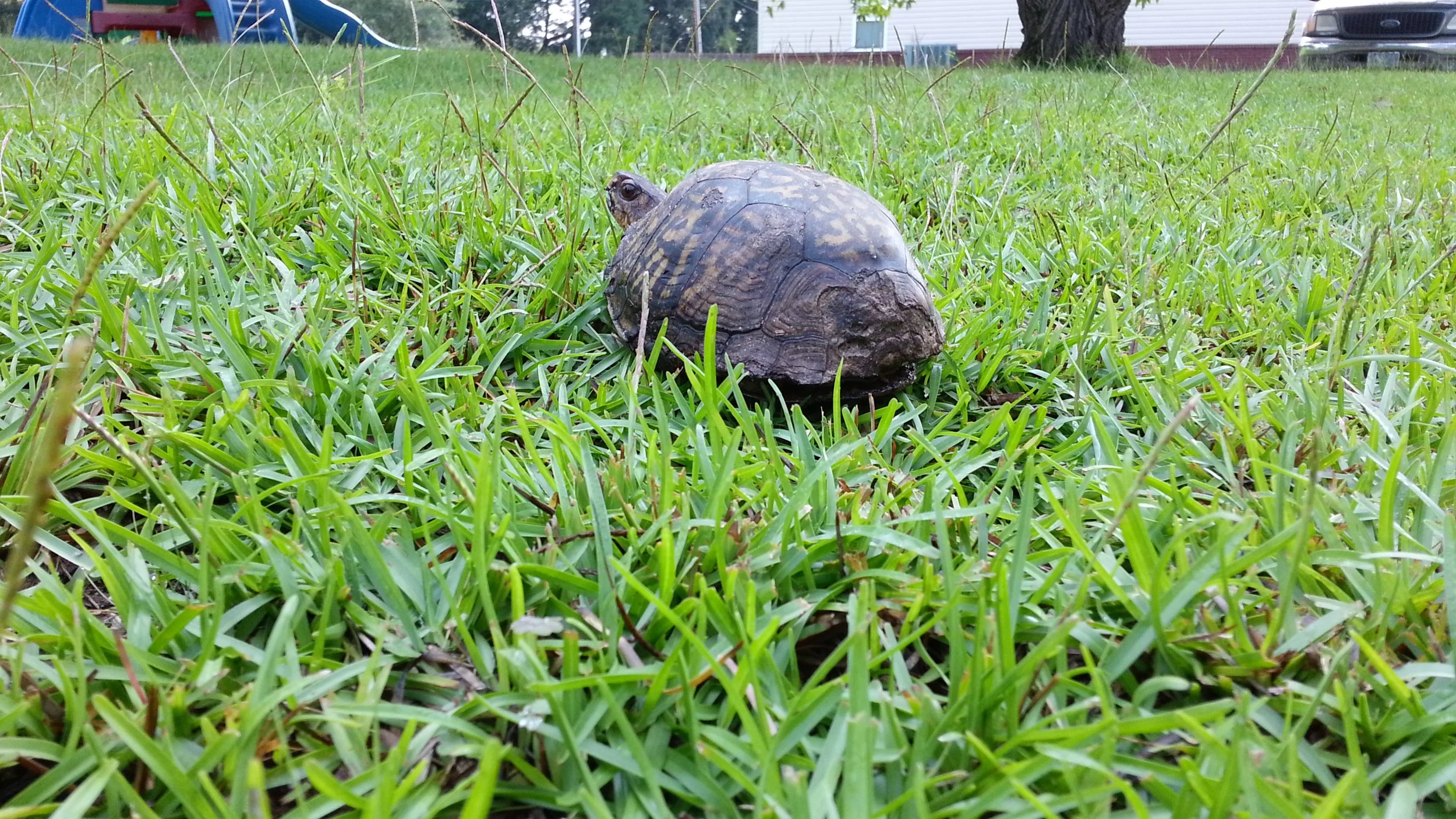 20120818_091553.jpg