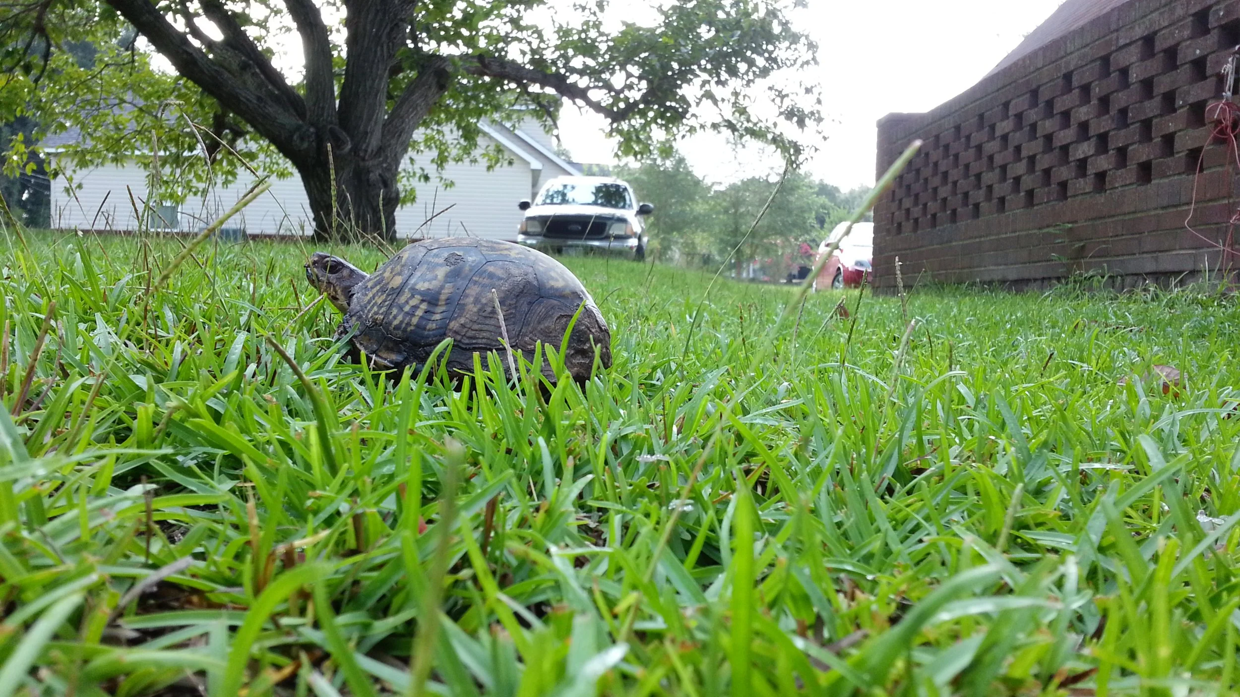 20120818_091605.jpg