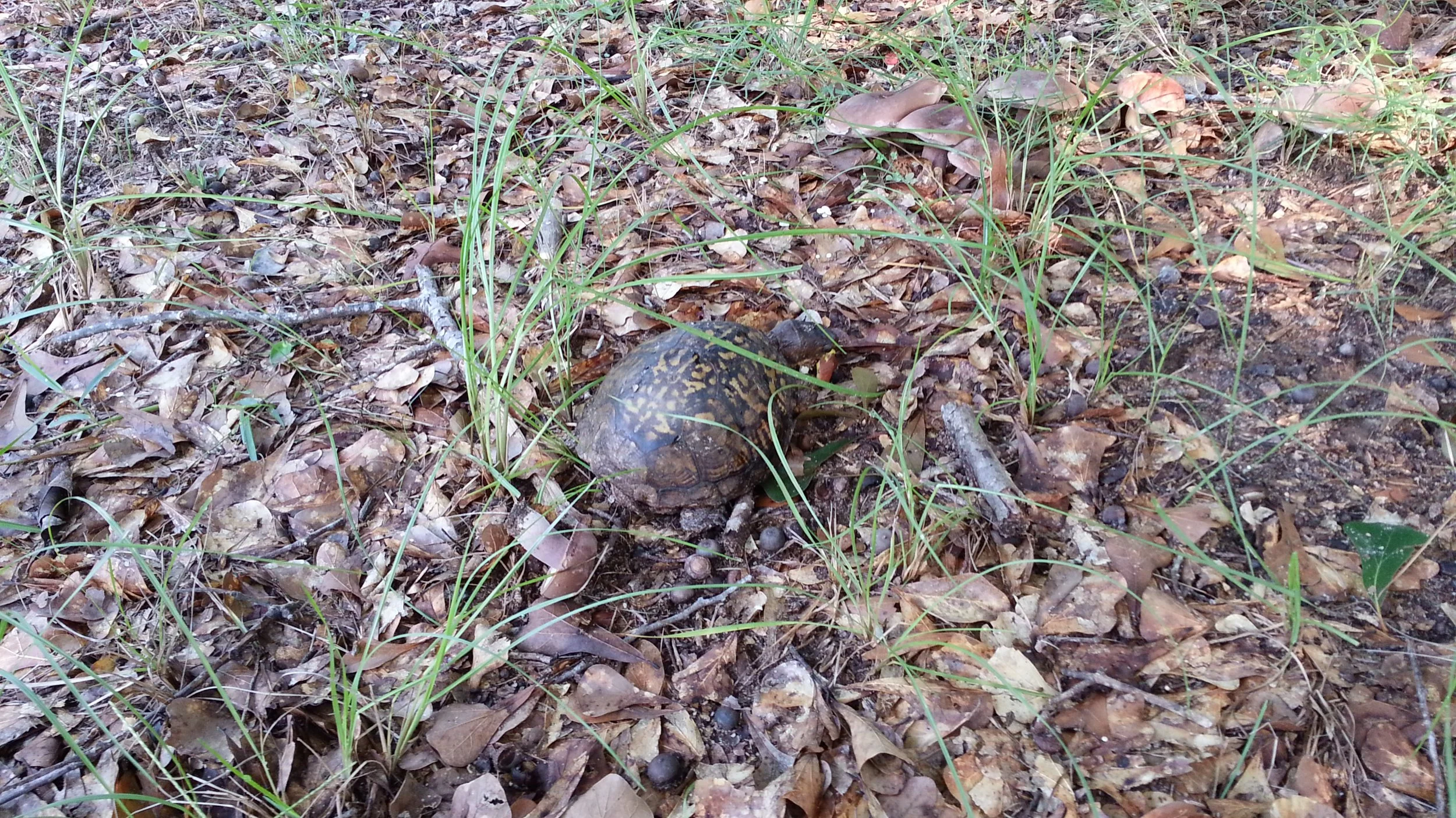 20120818_092450.jpg