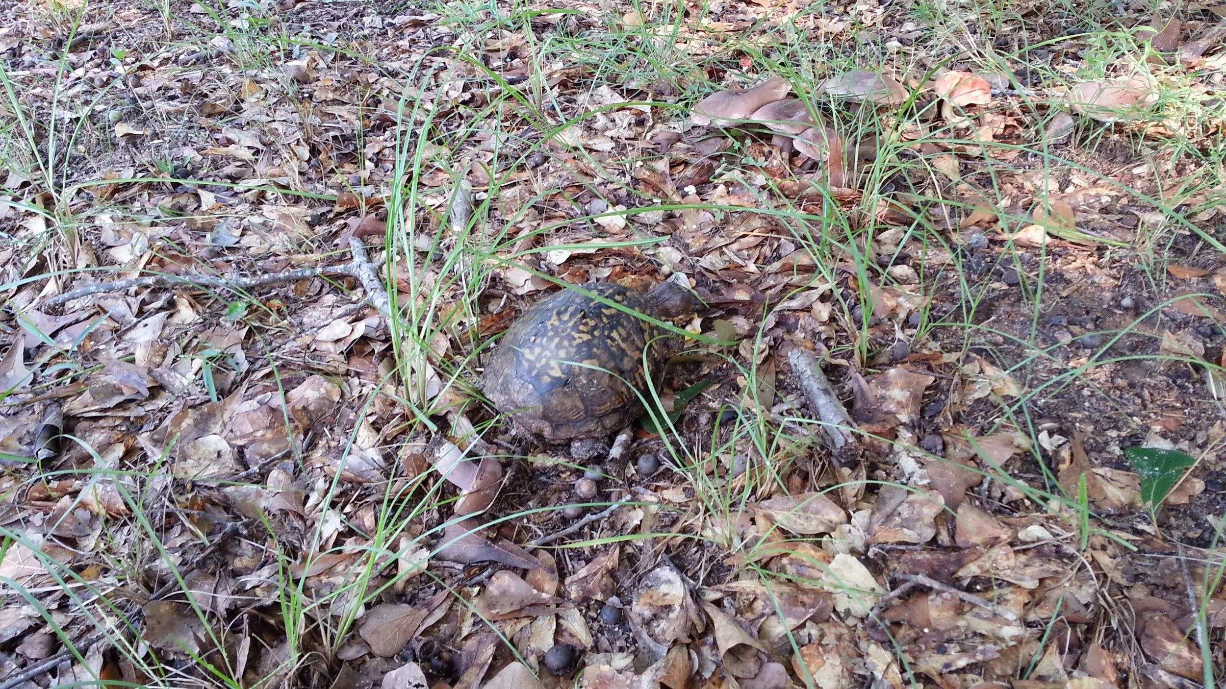 20120818_092451.jpg
