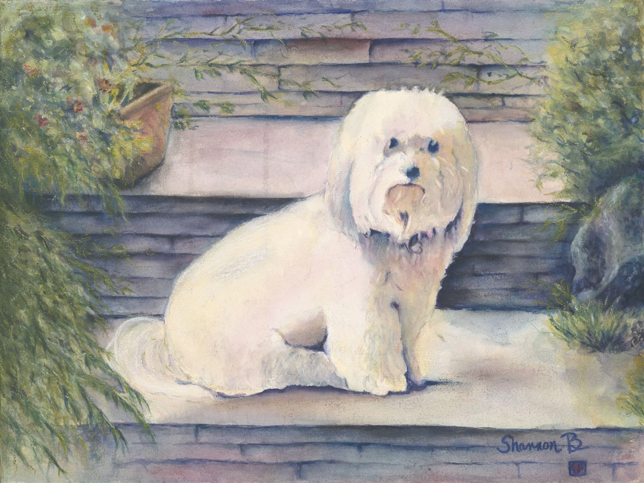 white dog.jpg