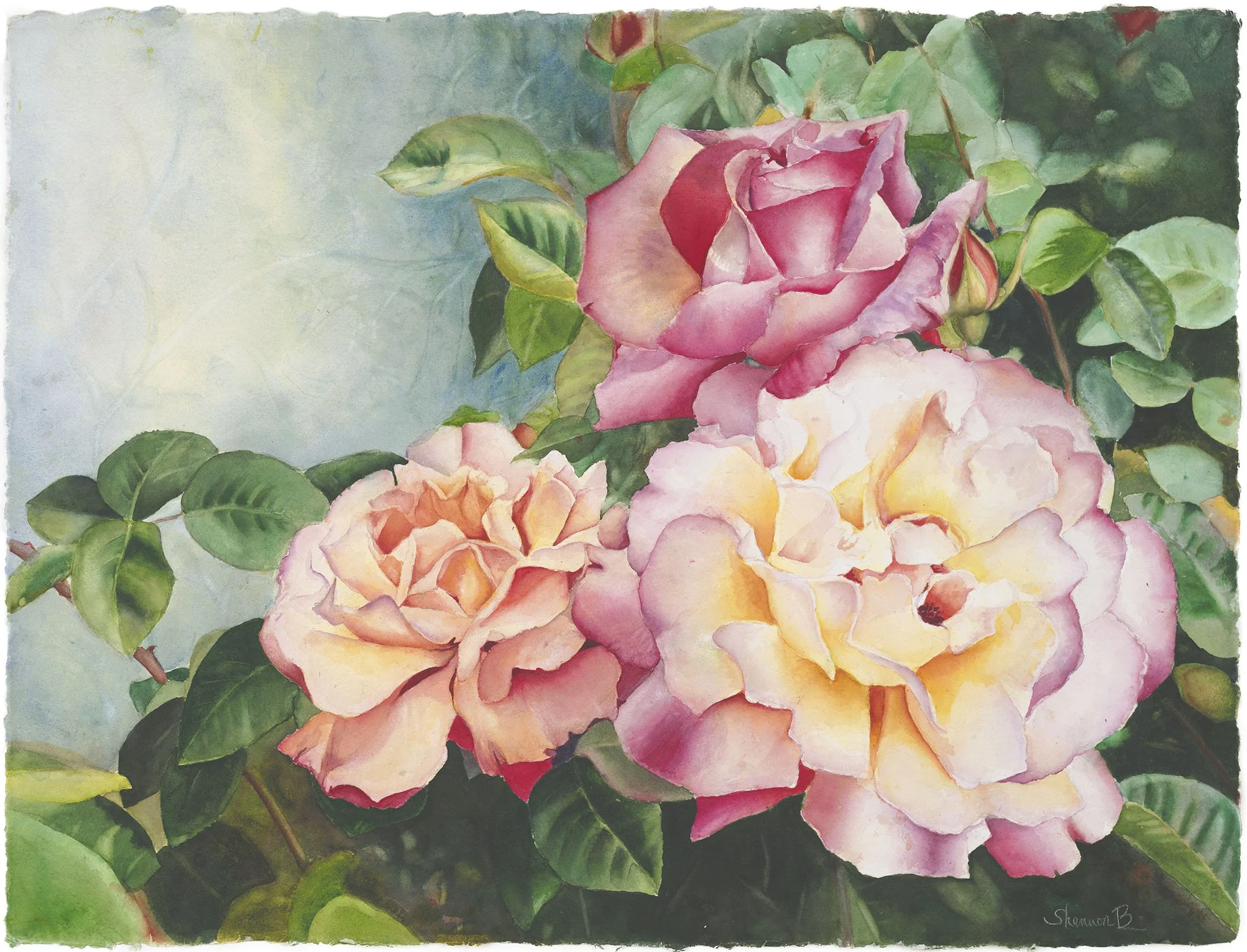 Roses.jpg