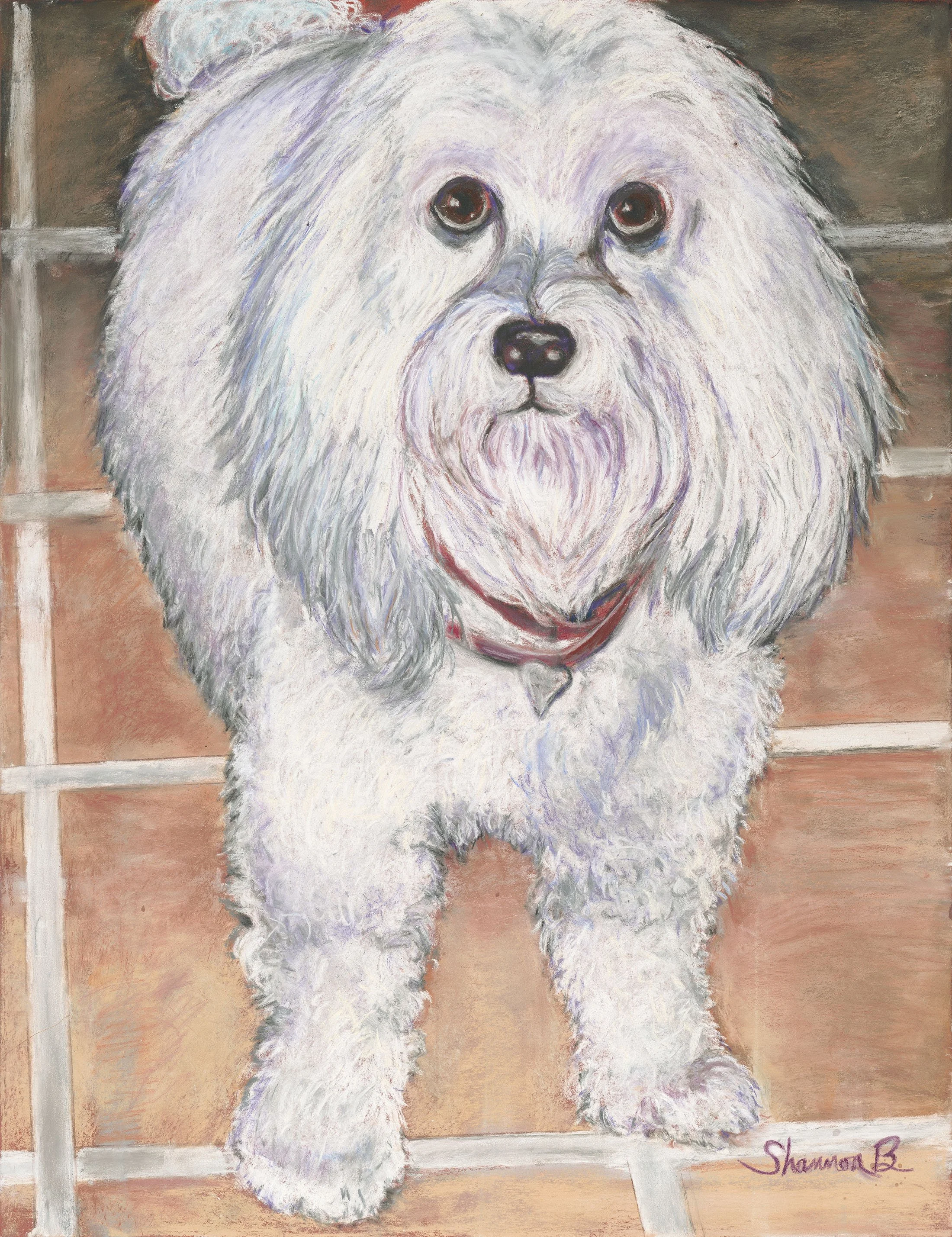 dog.jpg