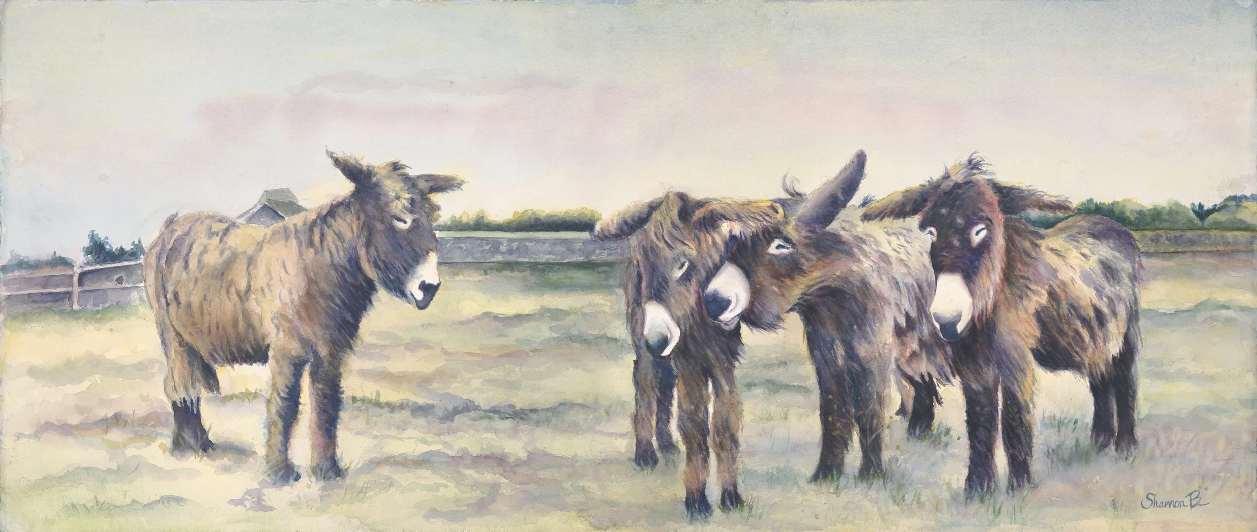 Brown Shannon donkeys flattened.jpeg