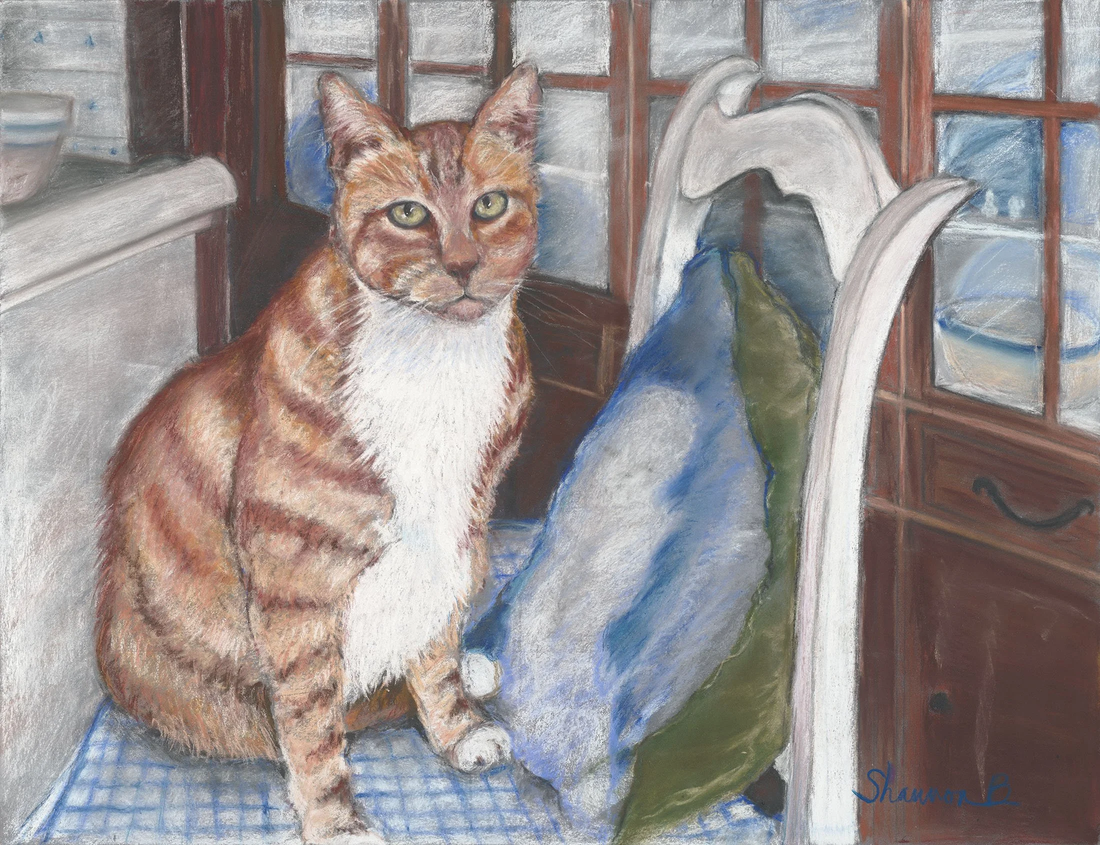 tabby cat.jpg