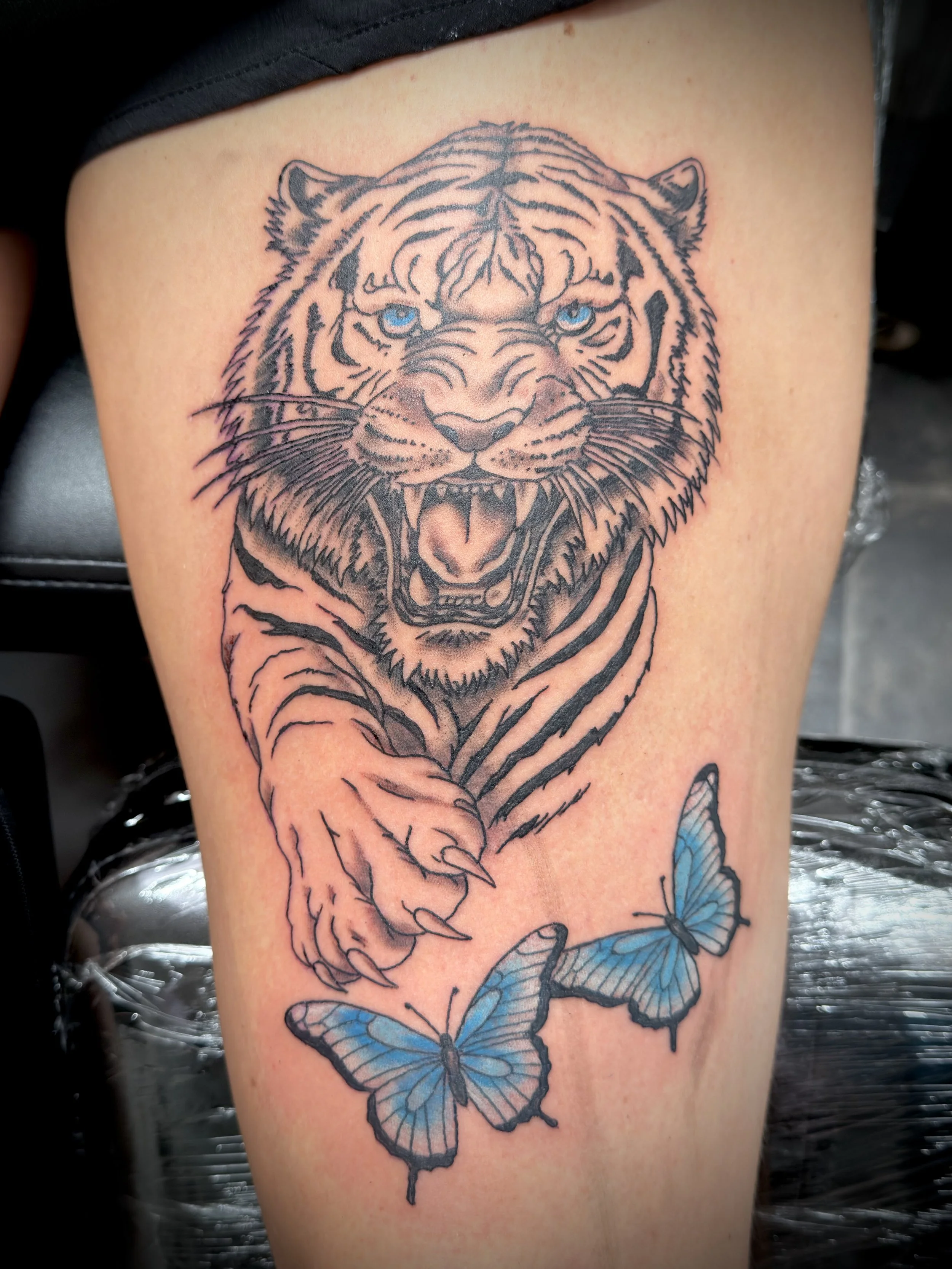 Black and grey roaring tiger tattoo with striking blue eyes and blue butterflies on the thigh.