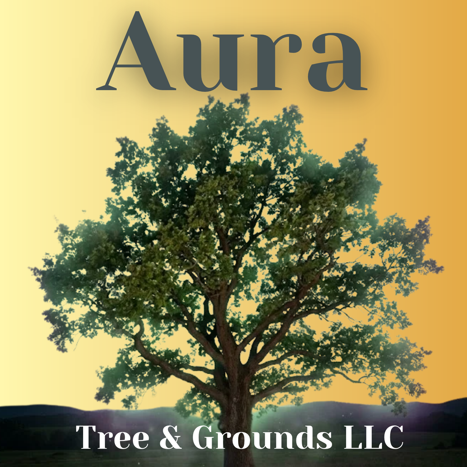 AURA Tree &amp; Grounds