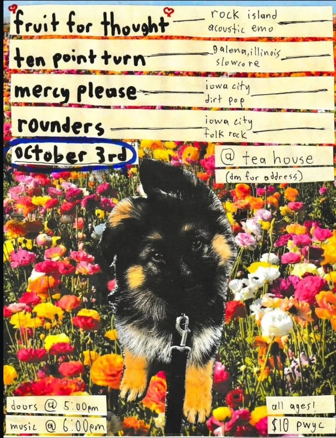 tumblr_90ccfd3070561210552167329439f018_c13d0972_1280.jpg