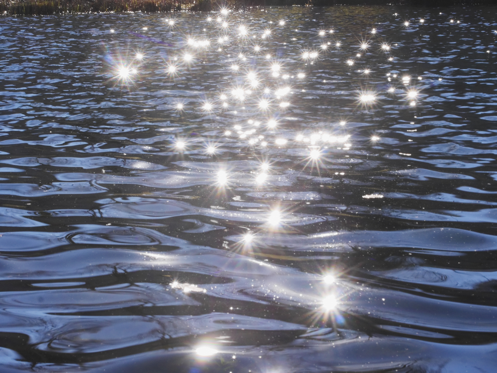 Sunlight sparkling across rippling blue lake water