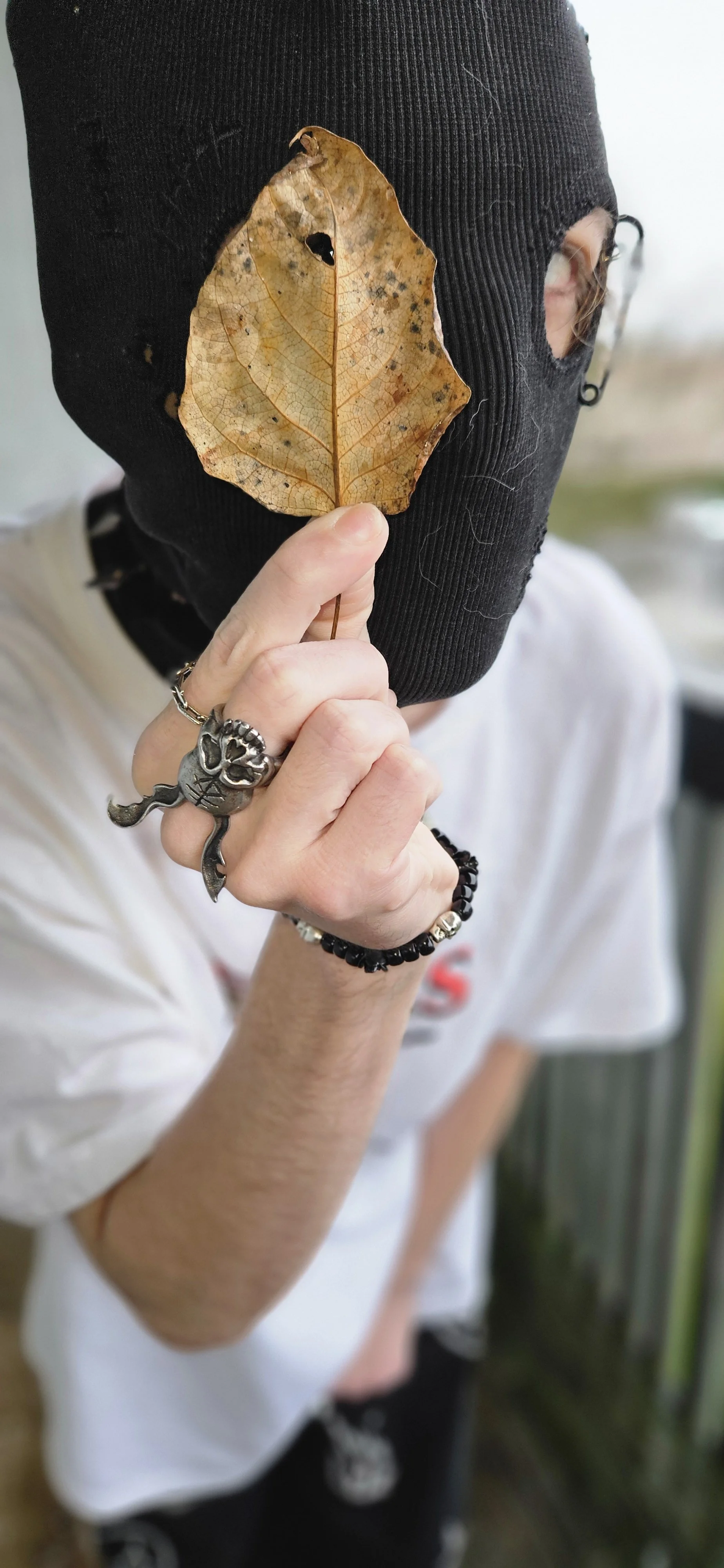 Person holding a dried, damaged leaf with visible veins and a central hole