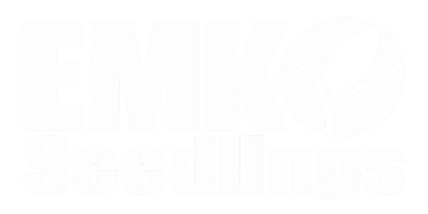 EMKO Seedlings