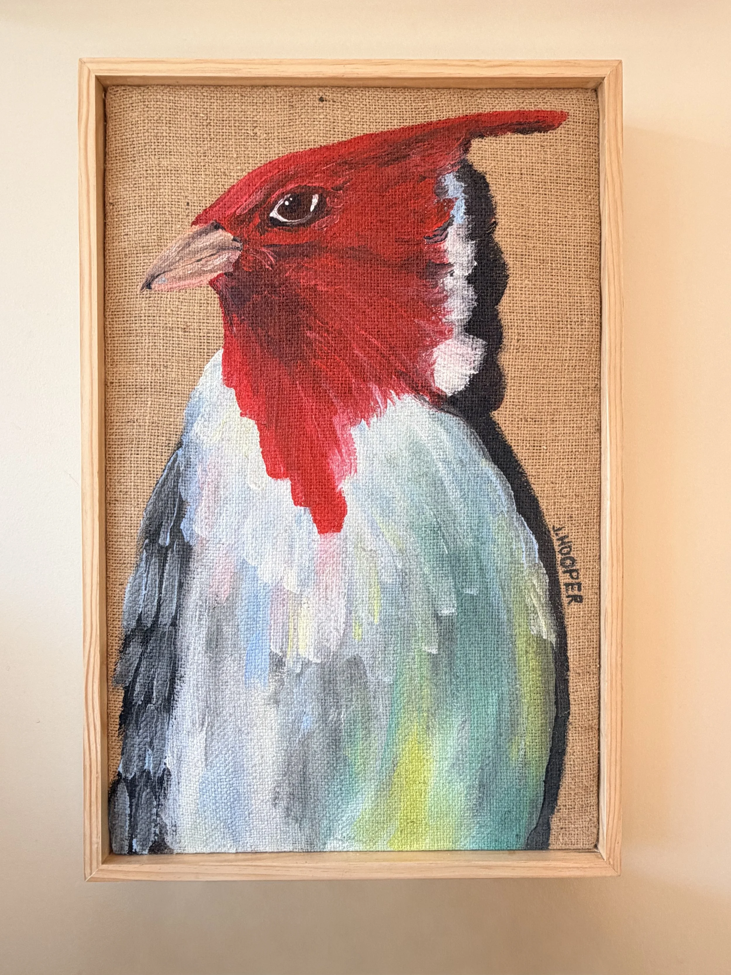 Bird.jpg