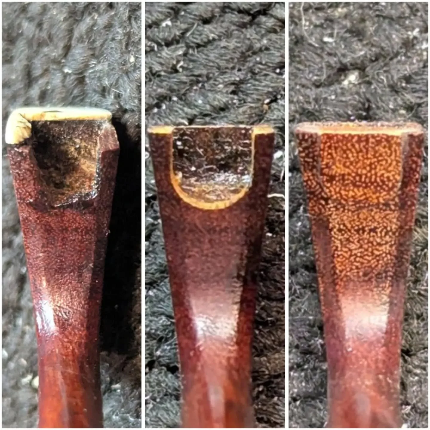 Close-up triptych showing three stages of a cut plant stem with a dark center and orange-red outer tissue.