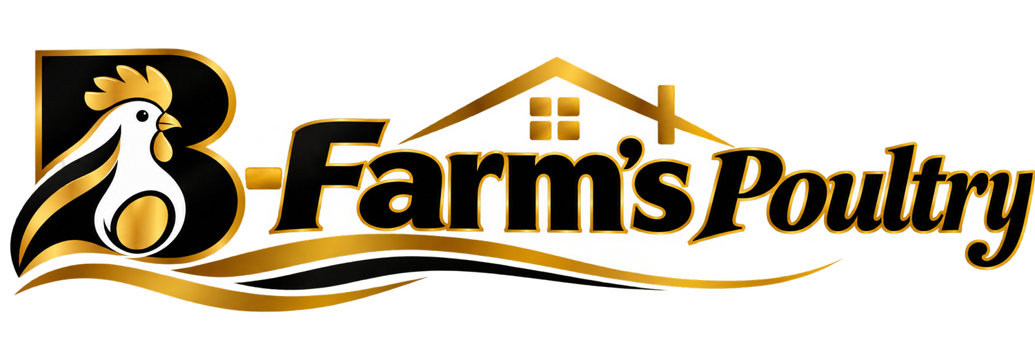 B-farm's Poultry