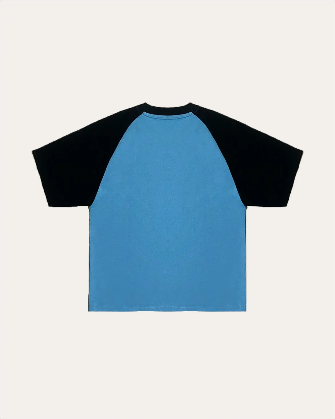 Blue_Raglan_T-shirt_Back.jpg