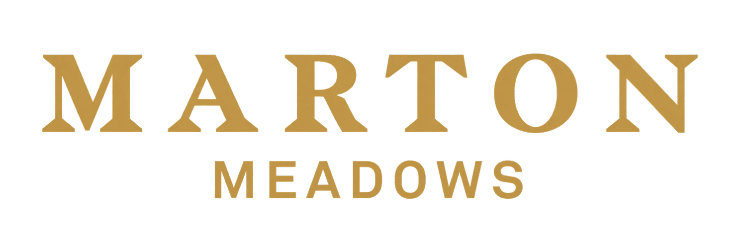 Your Site Title