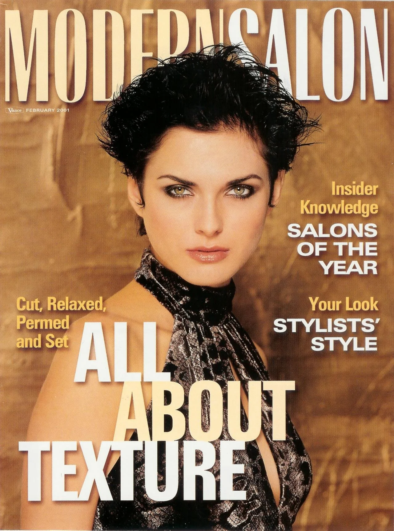 Modern Salon magazine feature on David John