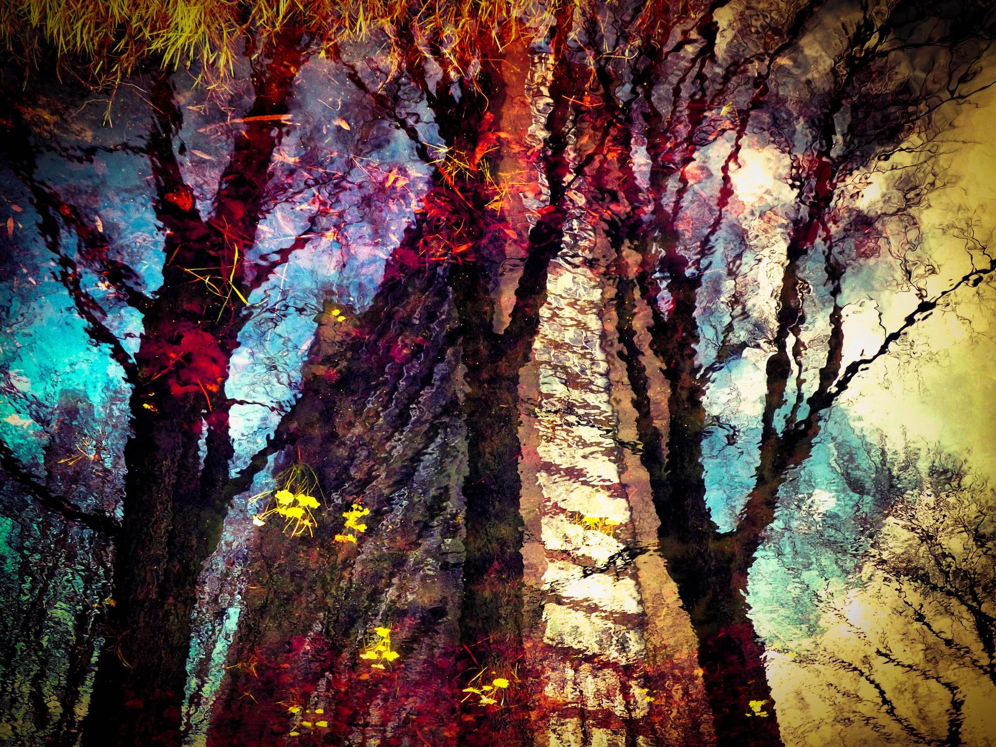 Abstract multicolored forest reflection in rippling water with dark tree trunks, vivid foliage, and yellow leaves. Photo by Jon Rees.